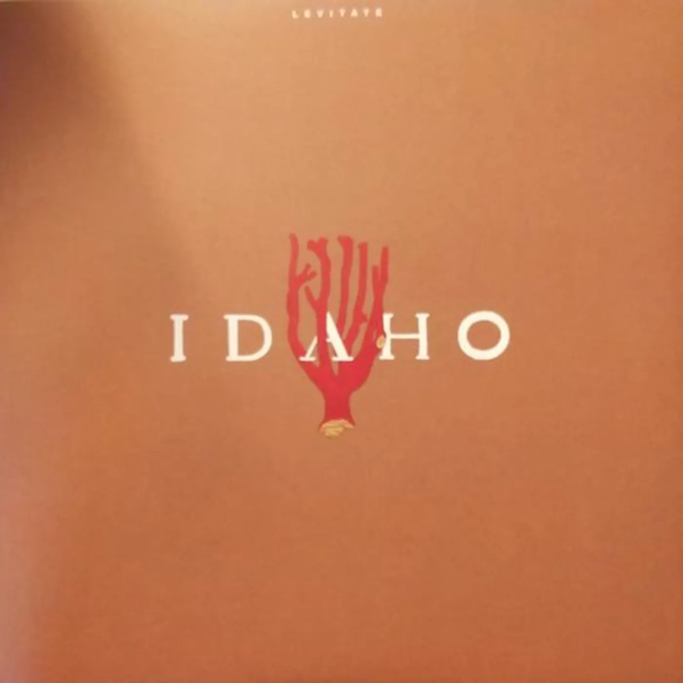 Idaho Levitate Vinyl Record