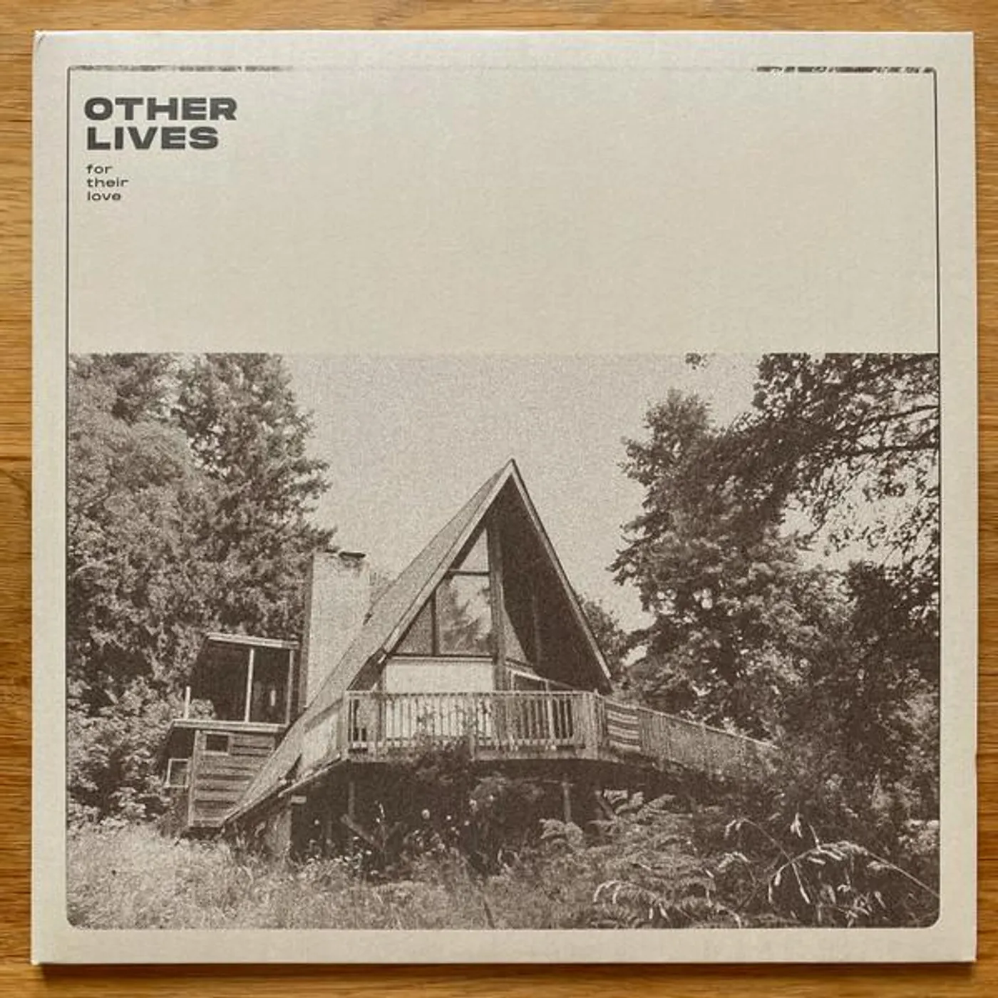 Other Lives FOR THEIR LOVE Vinyl Record