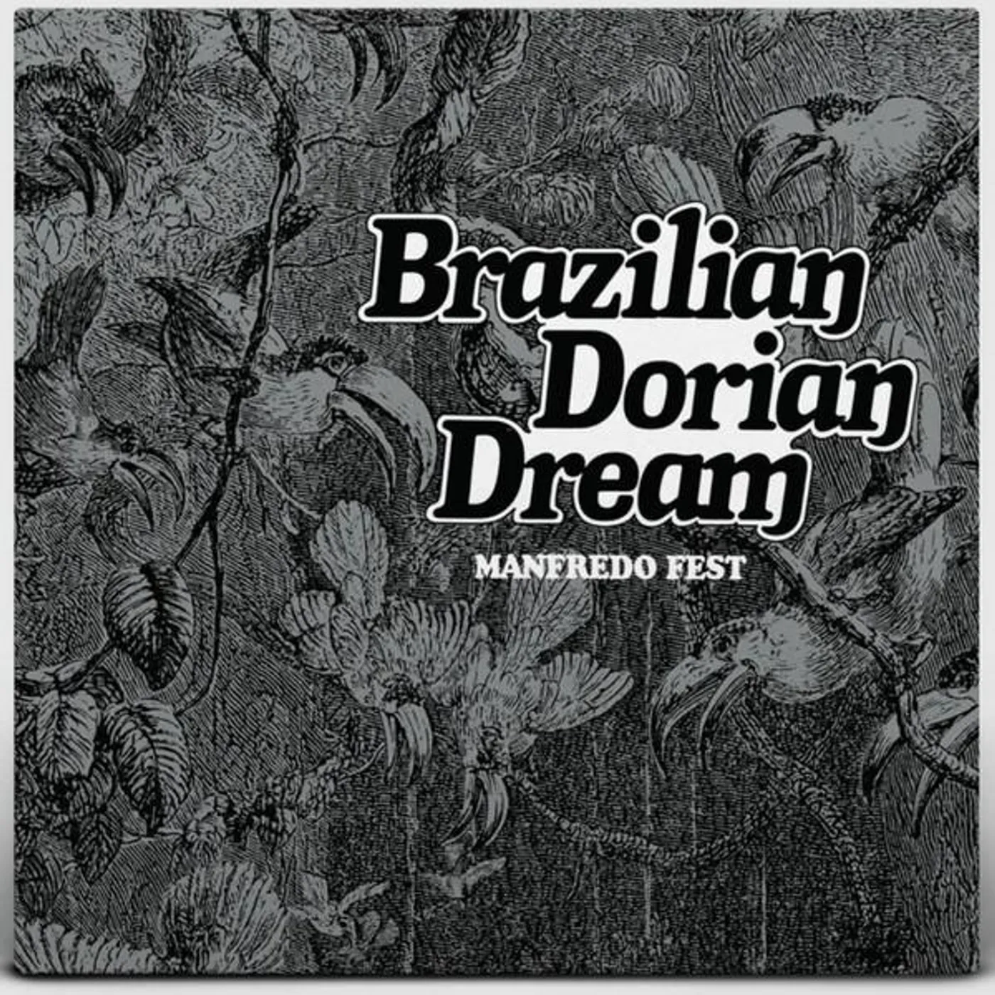 Manfredo Fest BRAZILIAN DORIAN DREAM Vinyl Record
