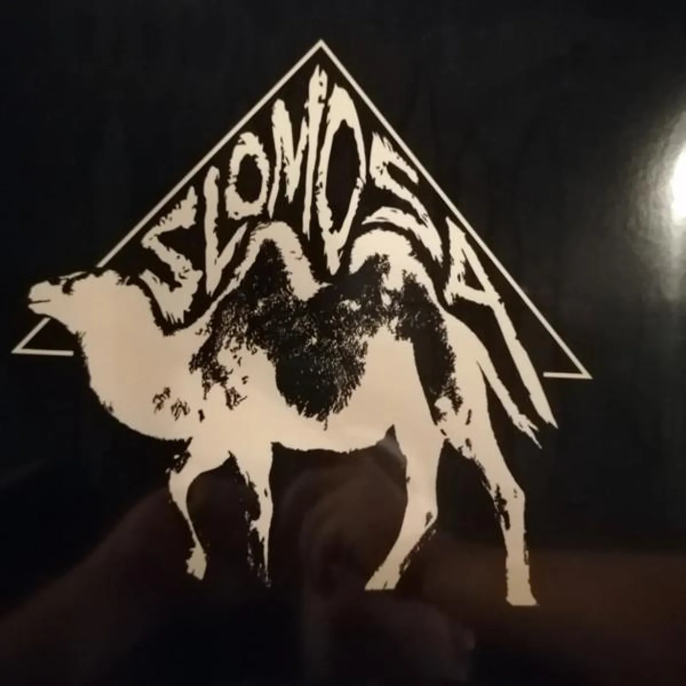 SLOMOSA Vinyl Record