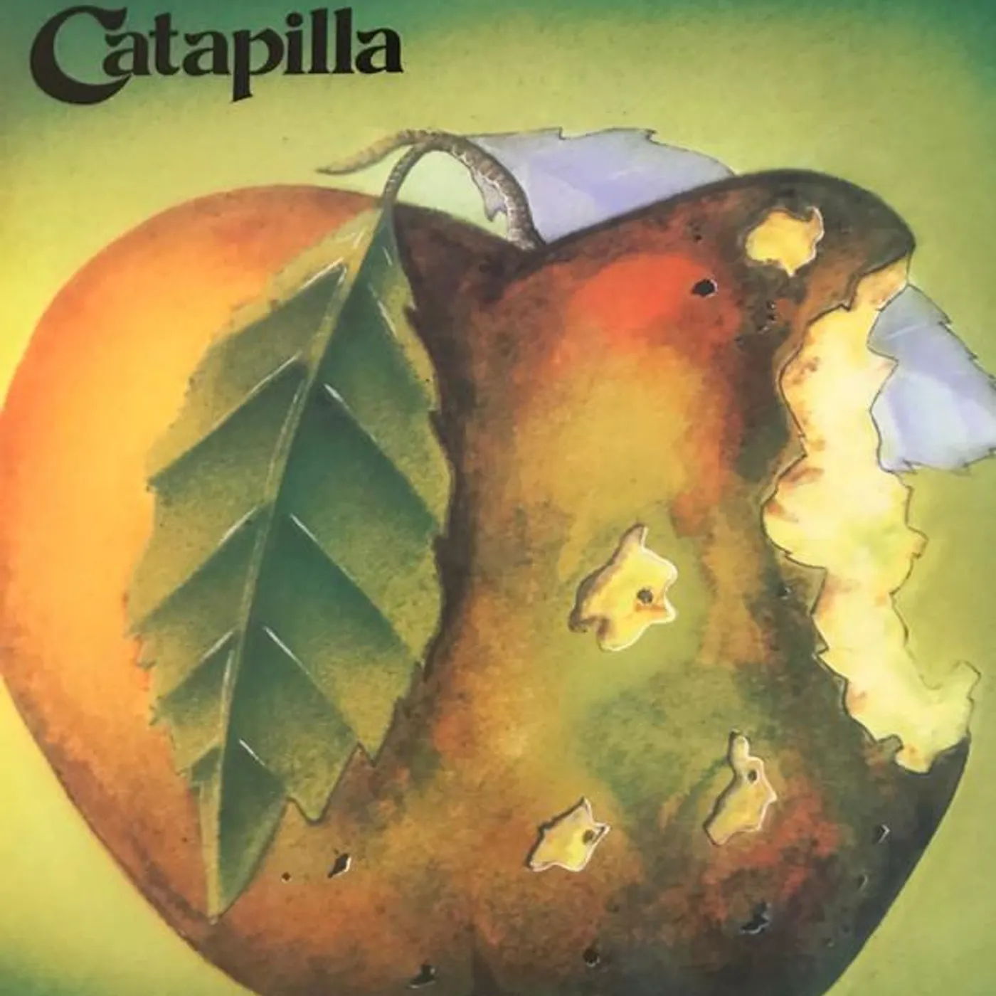 Catapilla Vinyl Record