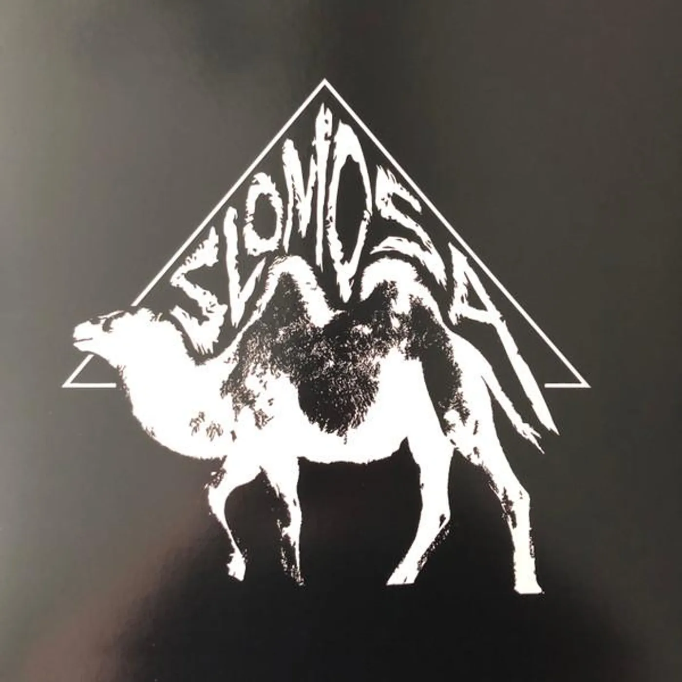 SLOMOSA Vinyl Record