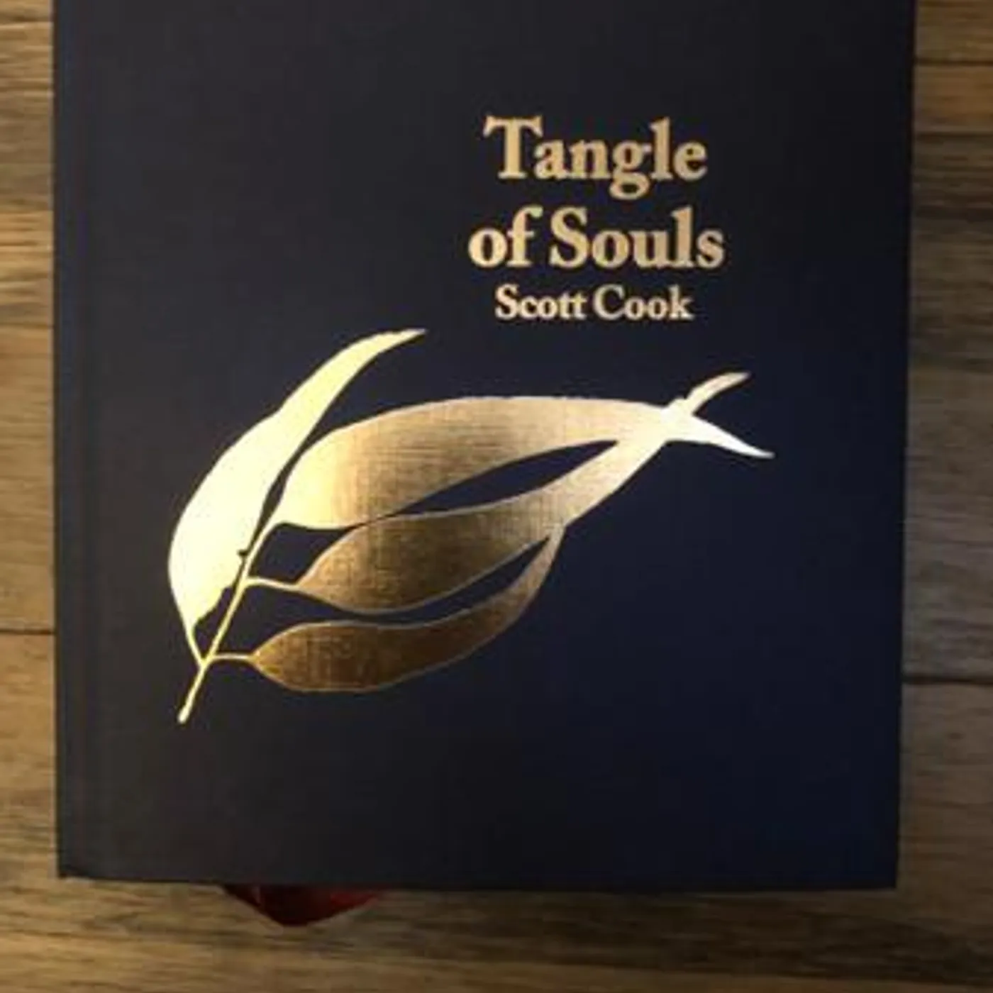 Scott Cook TANGLE OF SOULS CD