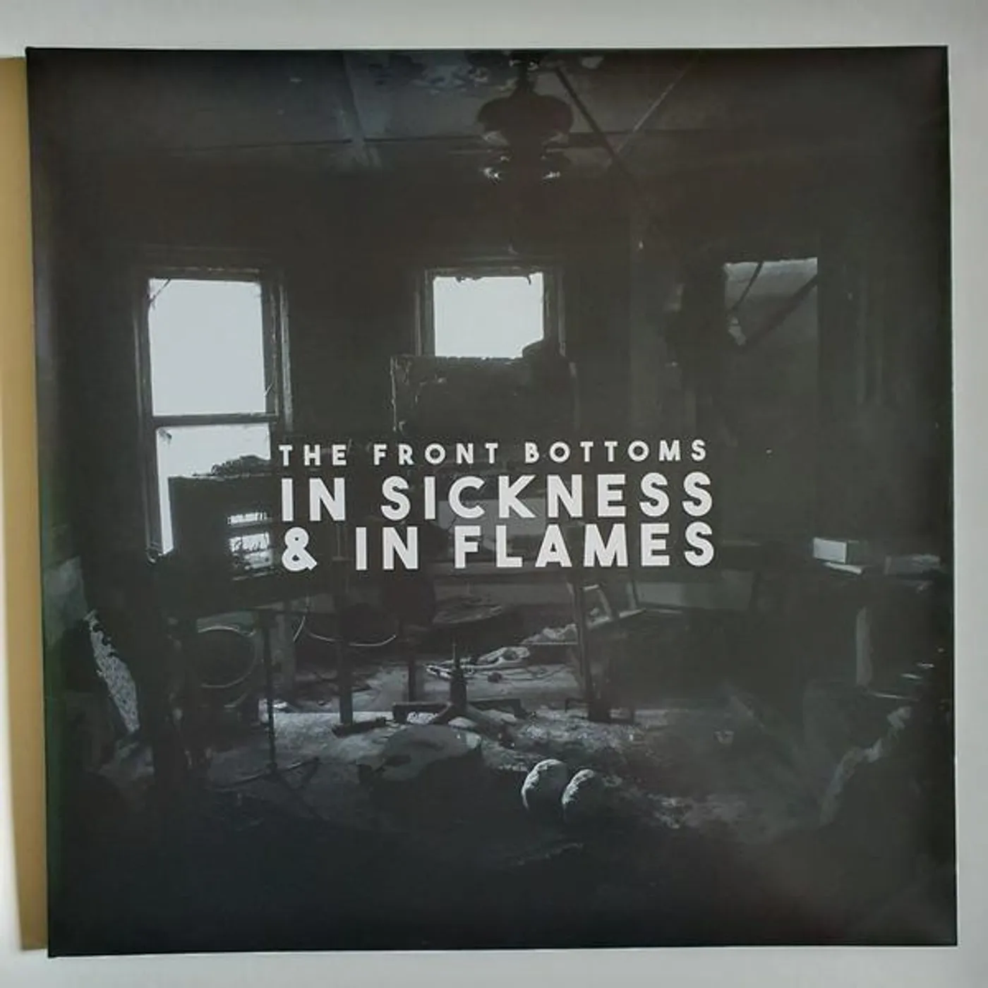 The Front Bottoms In Sickness & In Flames Vinyl Record