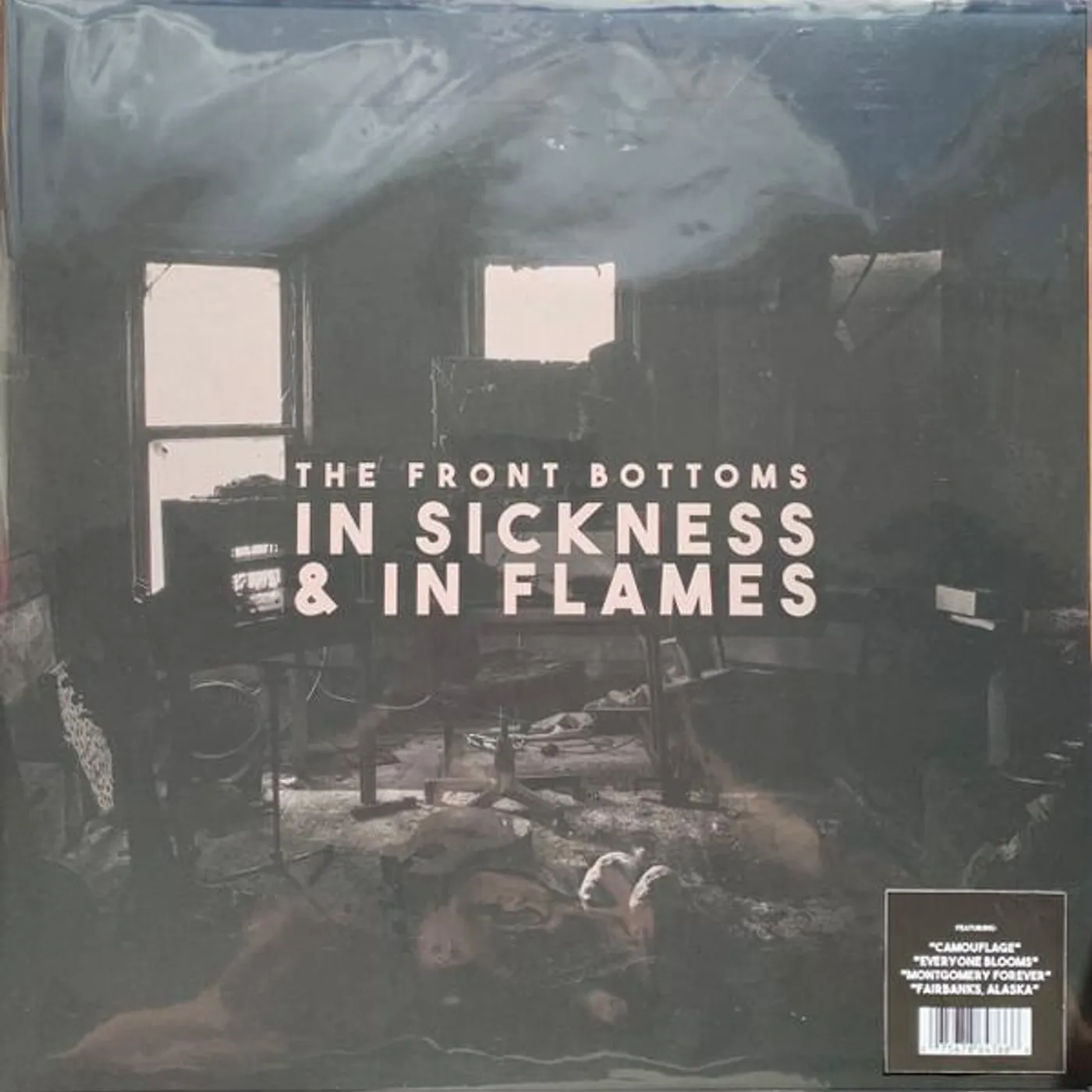 The Front Bottoms In Sickness & In Flames Vinyl Record