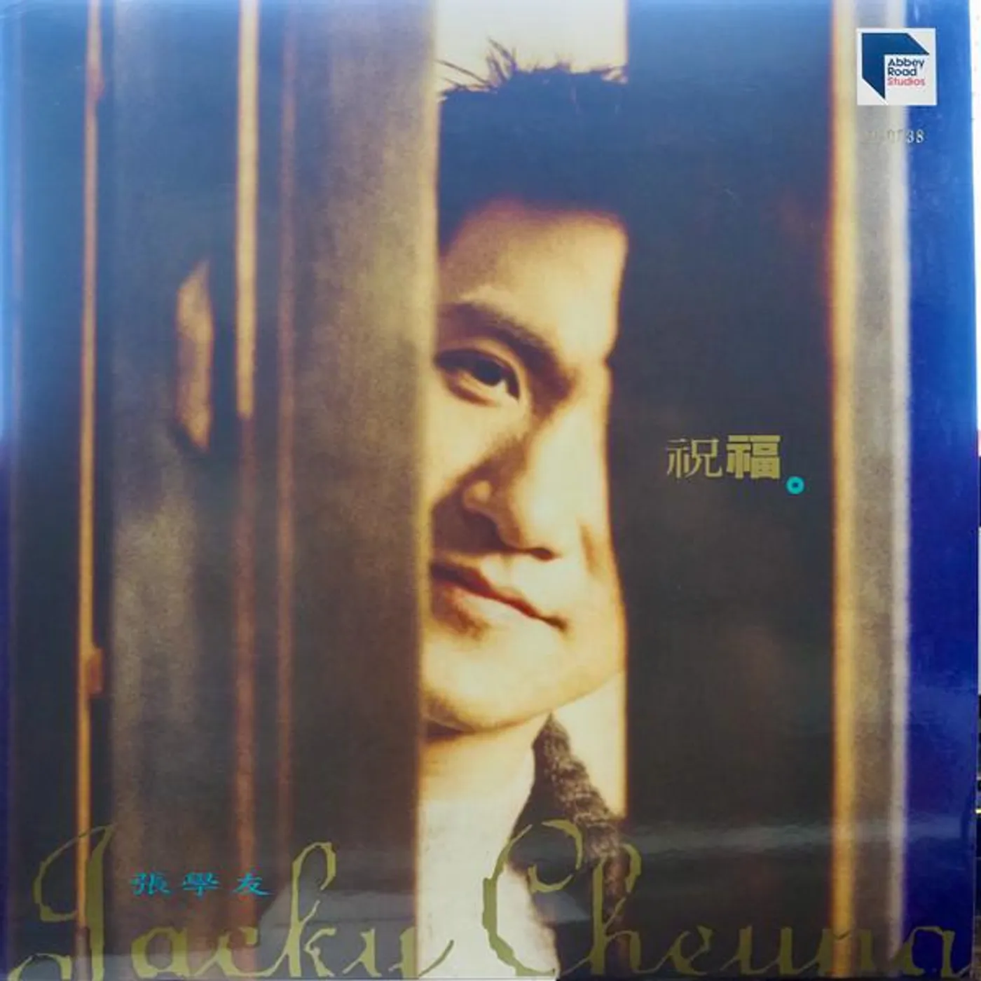 Jacky Cheung BLESS Vinyl Record