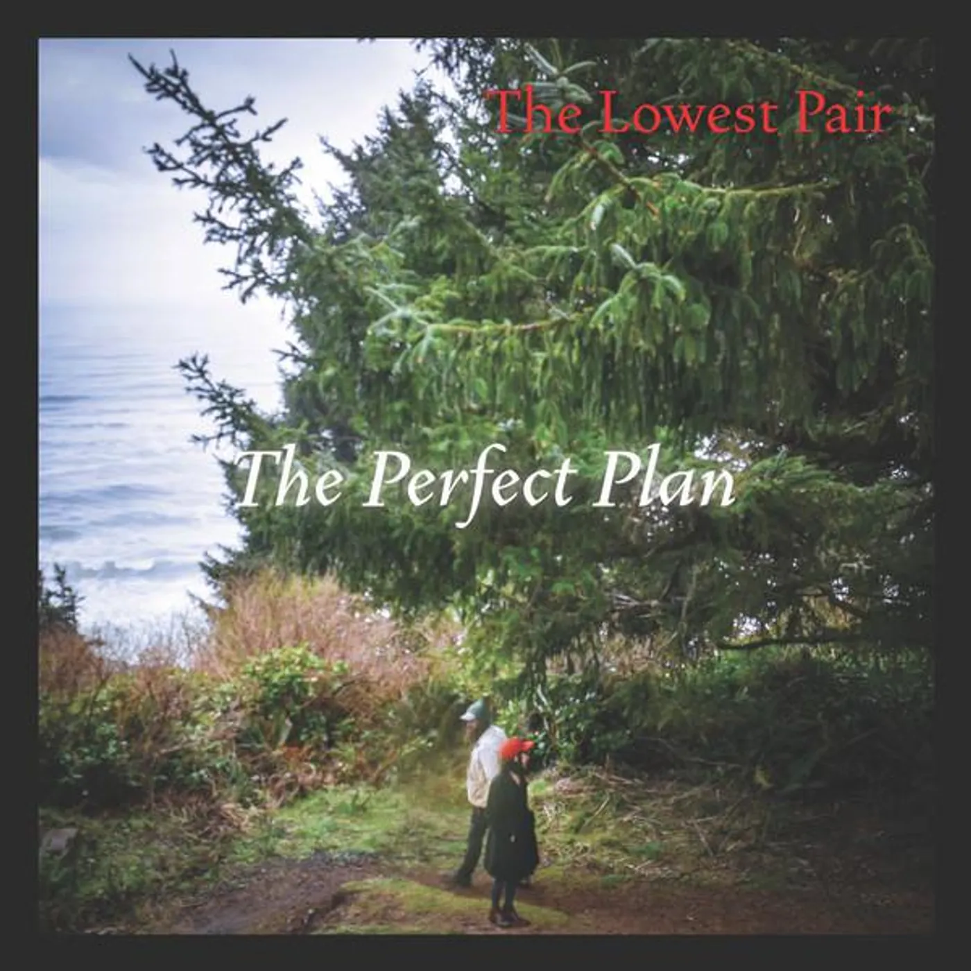 The Lowest Pair LP - Perfect Plan The (Vinyl)