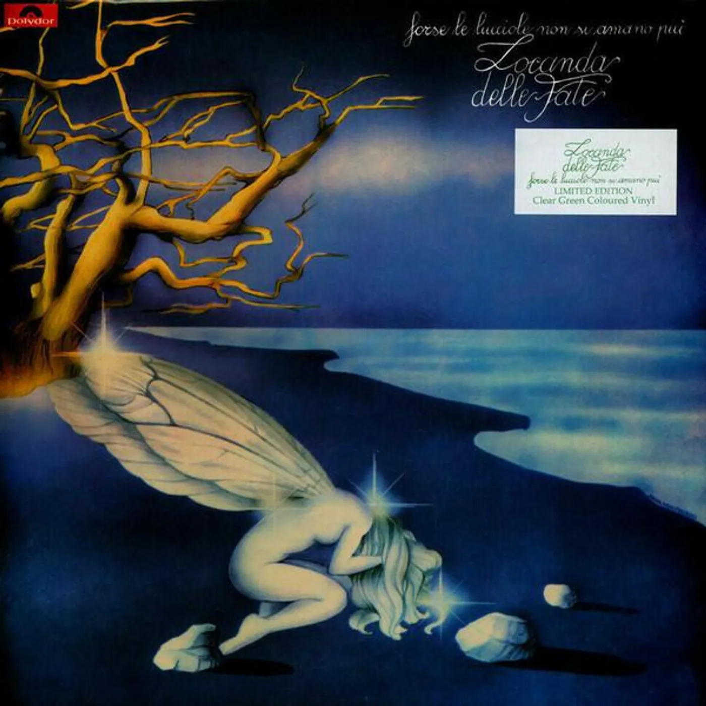 Locanda delle fate Forse Le Lucciole Non Si Amano Piu Vinyl Record