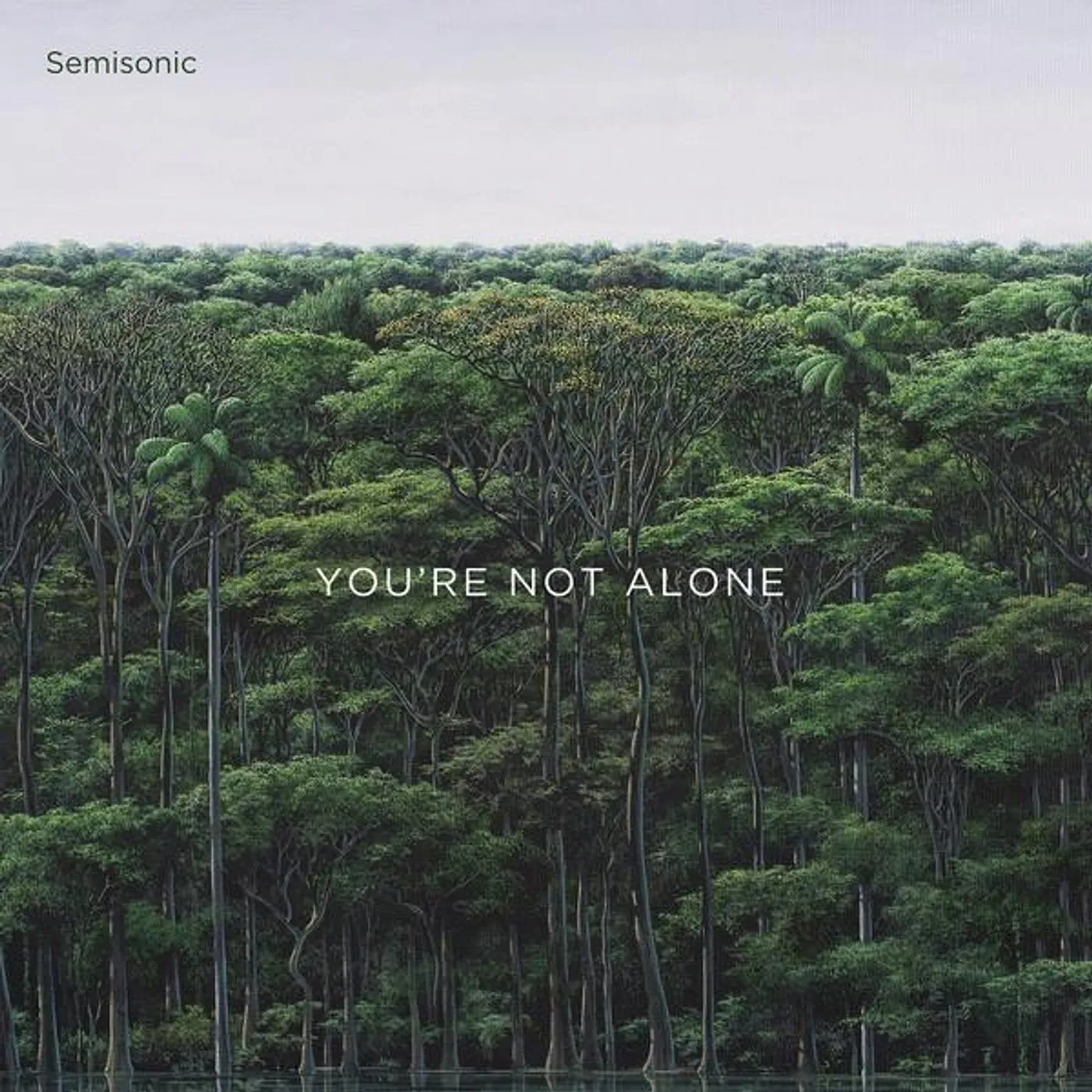 Semisonic YOU'RE NOT ALONE CD
