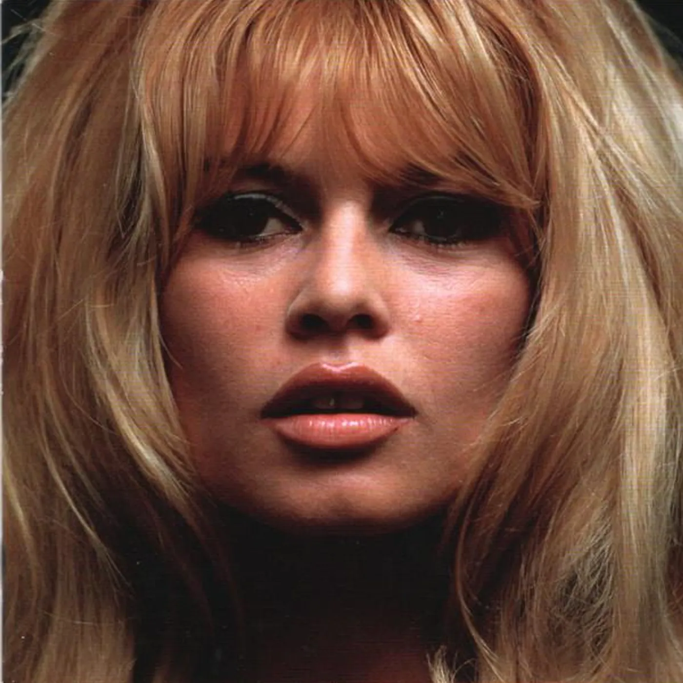 Brigitte Bardot LA BELLE ET LE BLUES CD