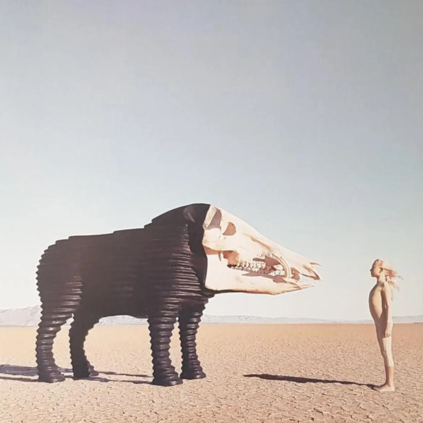 Man Man DREAM HUNTING IN THE VALLEY OF THE IN-BETWEEN Vinyl Record