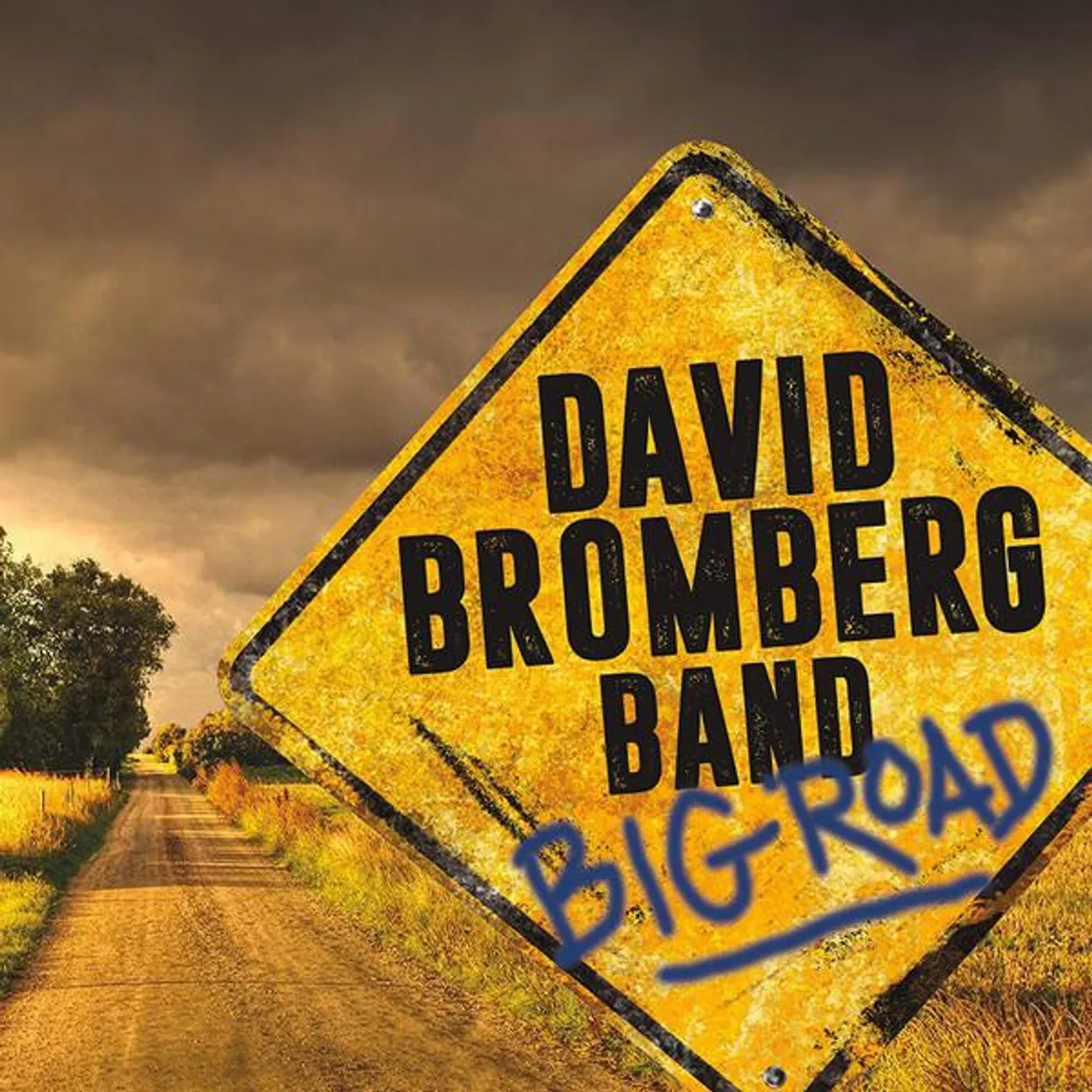 David Bromberg Big Road Vinyl Record