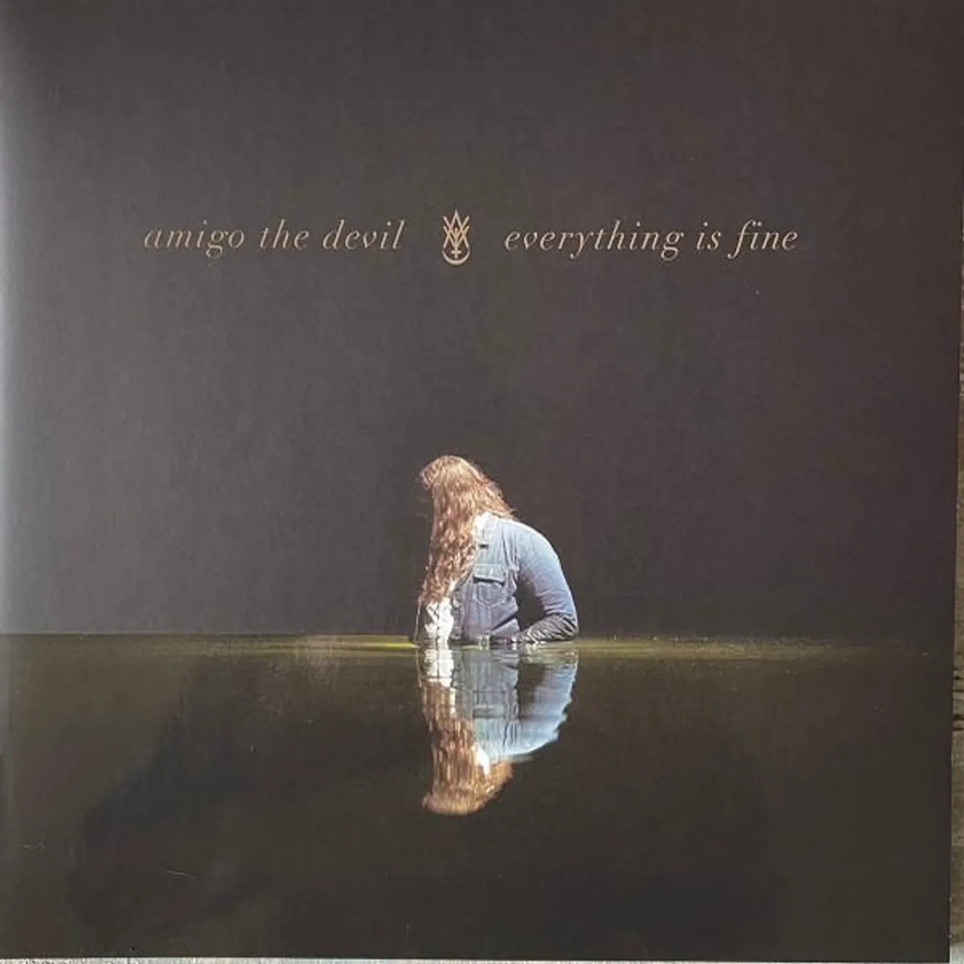 Amigo the Devil EVERYTHING IS FINE Vinyl Record