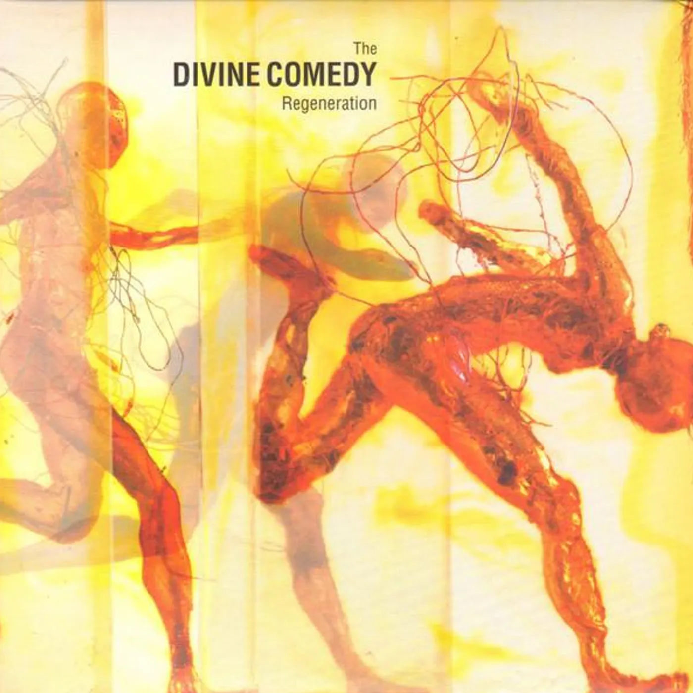 The Divine Comedy REGENERATION CD
