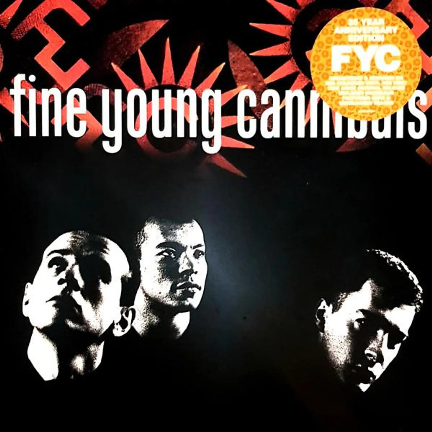 FINE YOUNG CANNIBALS Vinyl Record