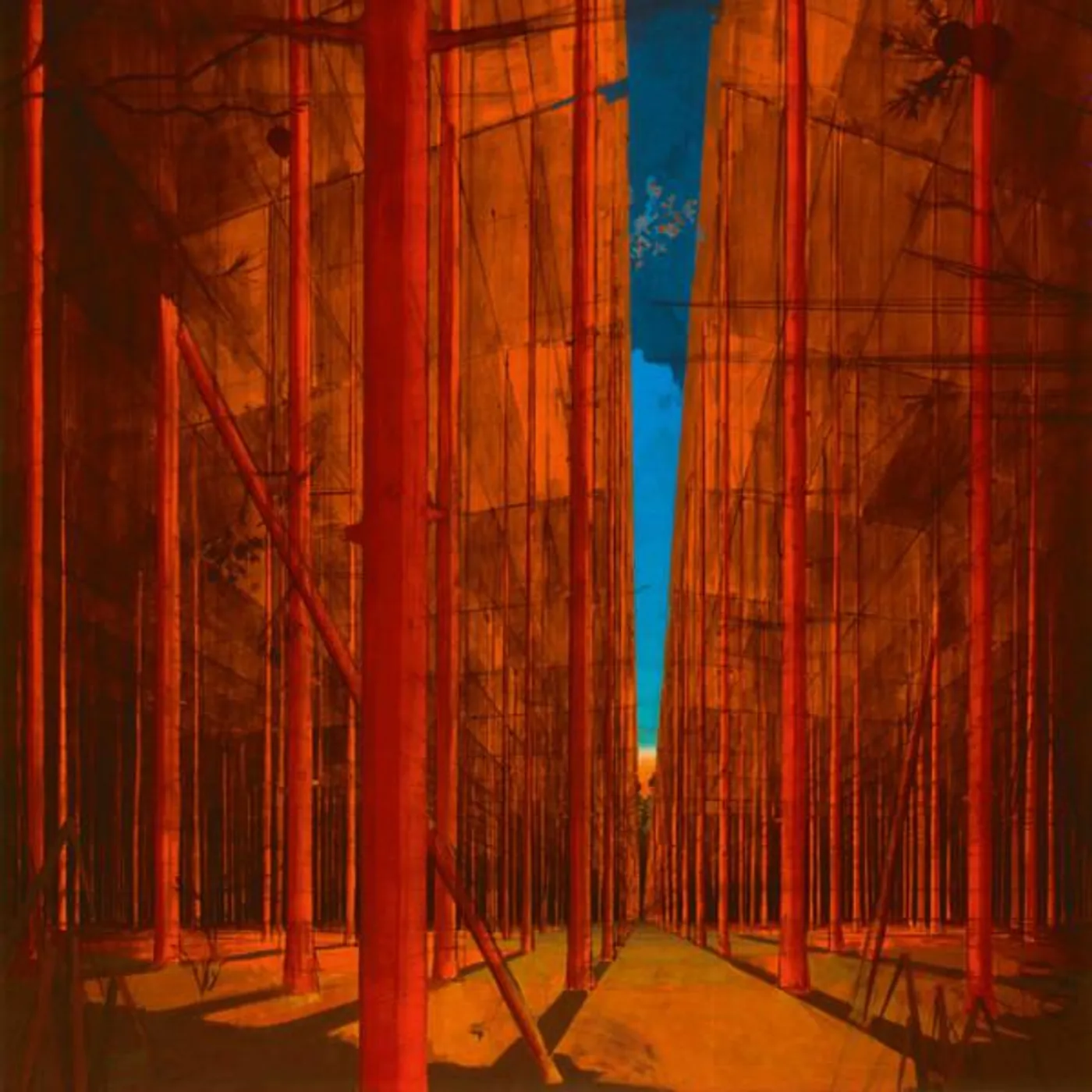 Martin Kohlstedt FLUR CD