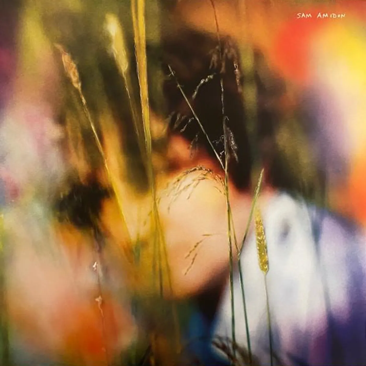 SAM AMIDON (BLUEBERRY MARBLE VINYL) Vinyl Record