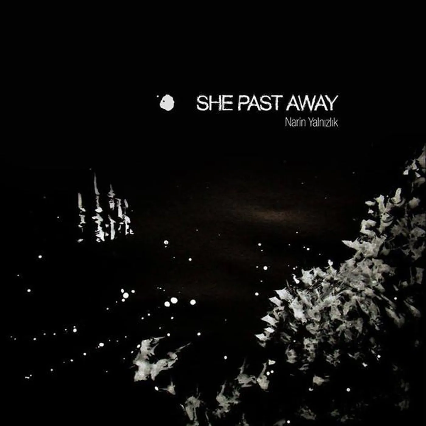 She Past Away Disko Anksiyete Vinyl Record
