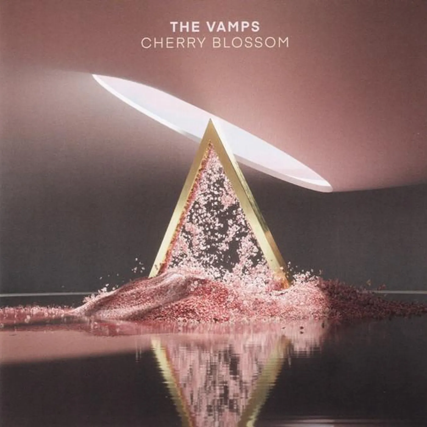 The Vamps CHERRY BLOSSOM CD