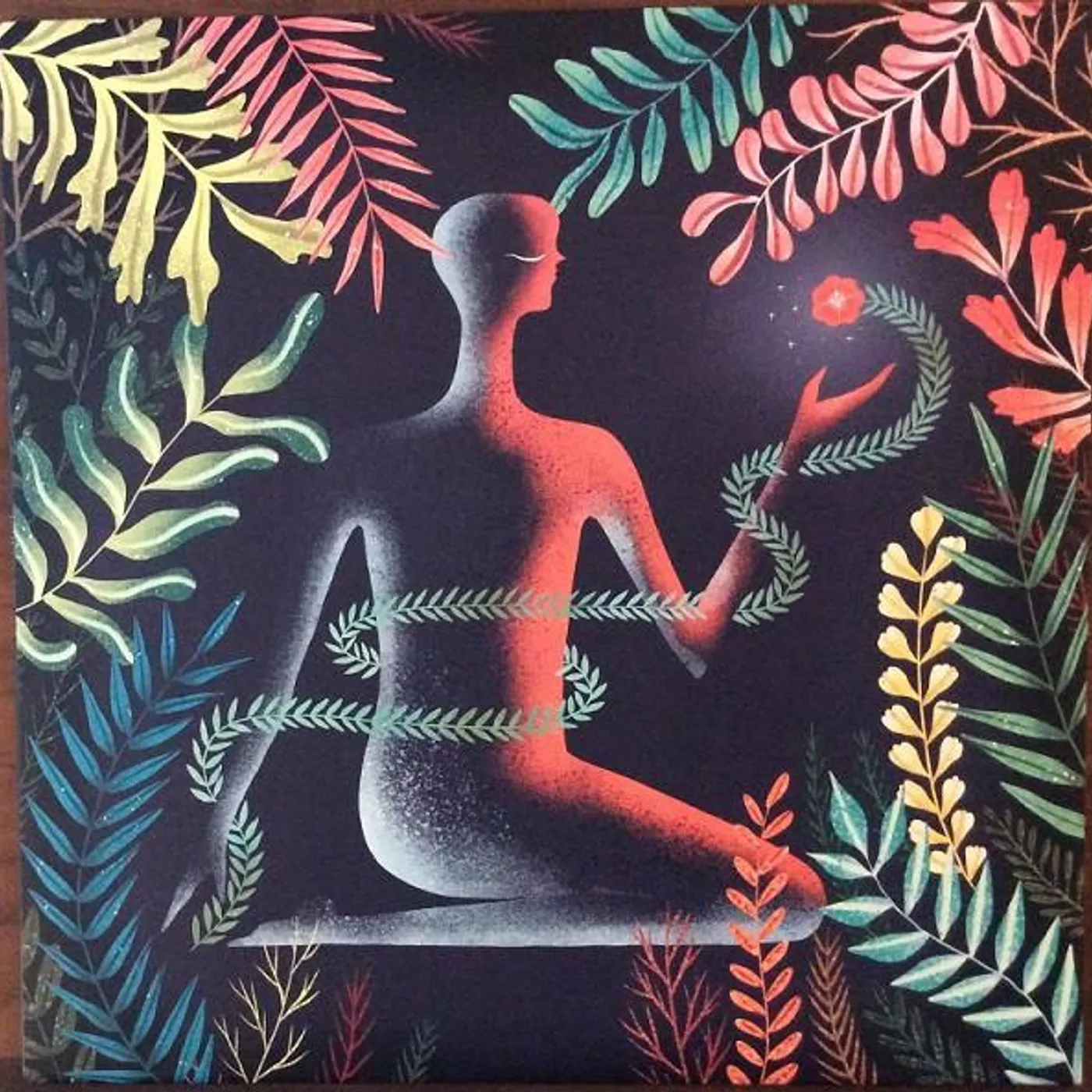 Loma Don't Shy Away Vinyl Record