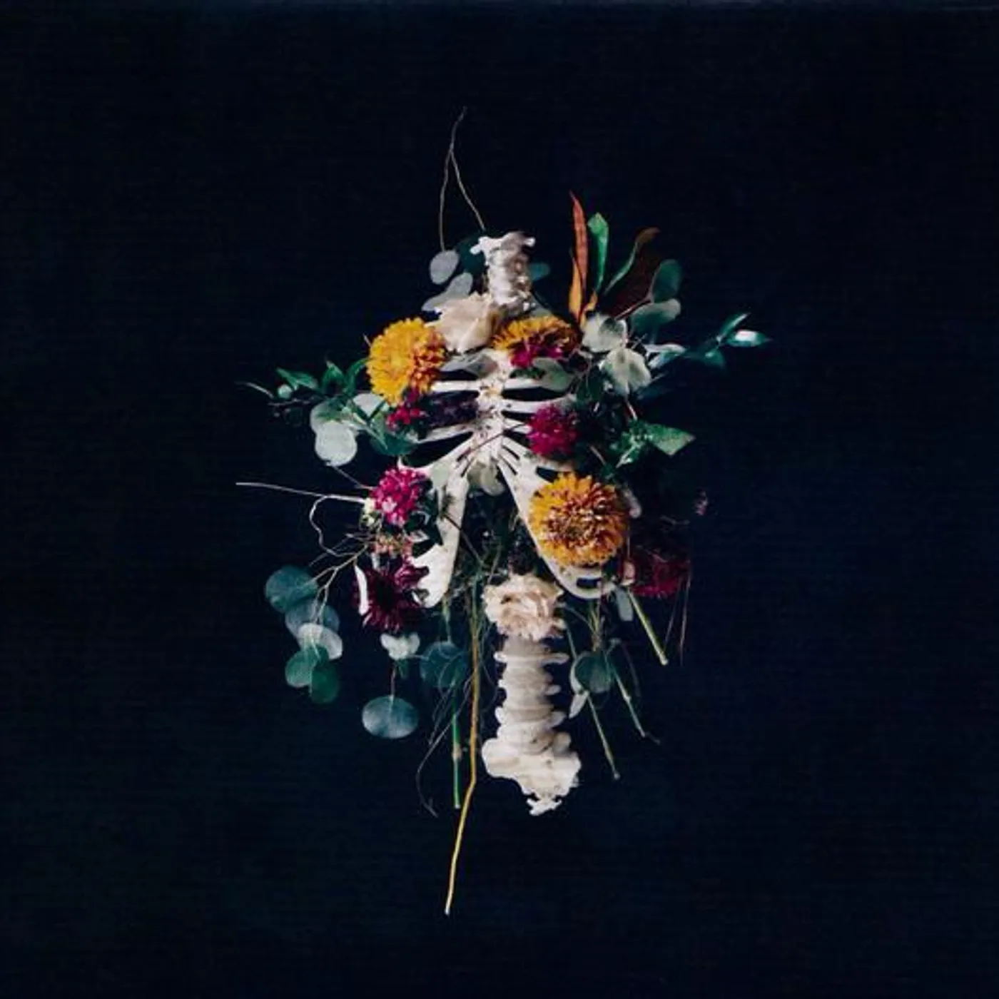 Elevation Worship GRAVES INTO GARDENS CD