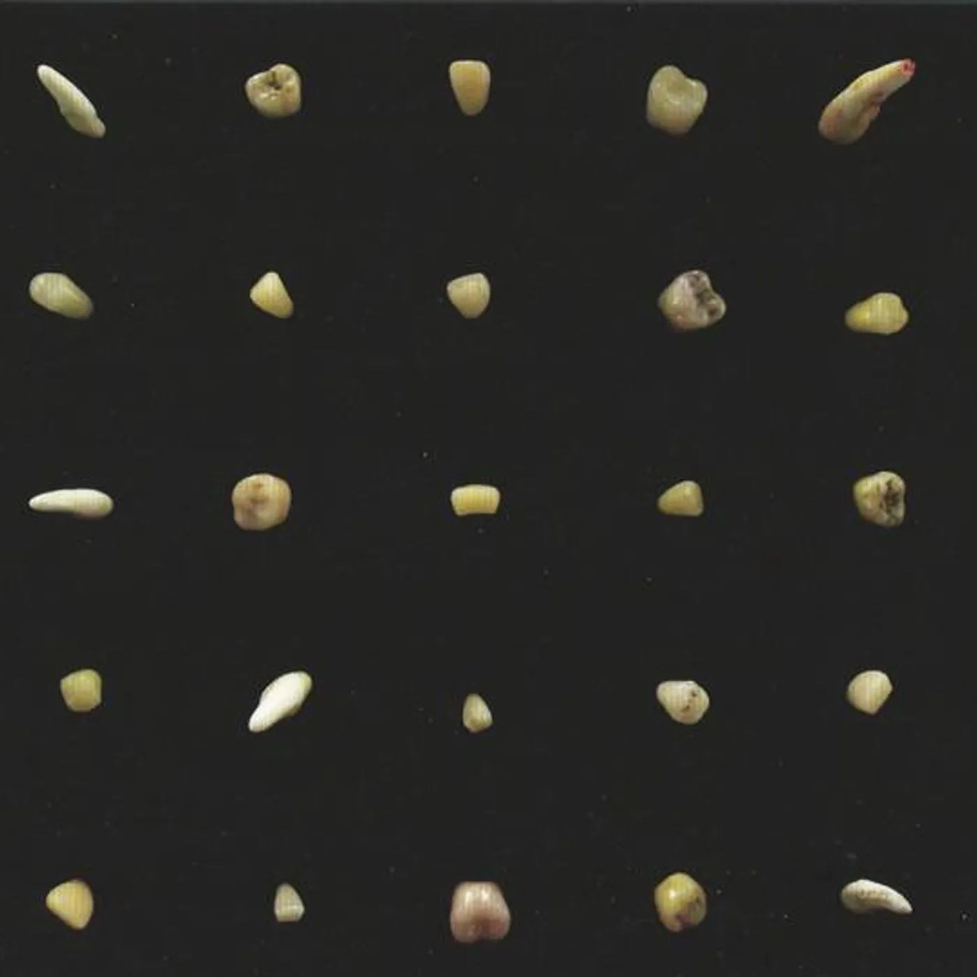 clipping. VISIONS OF BODIES BEING BURNED CD