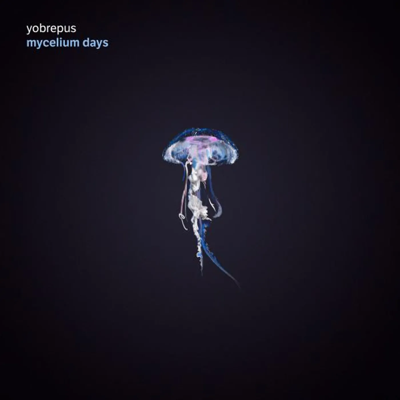 Yobrepus Mycelium Days Vinyl Record