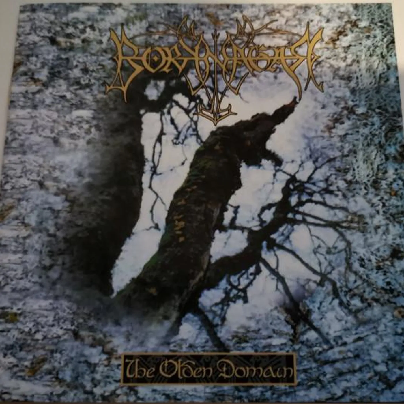 Borknagar OLDEN DOMAIN CD