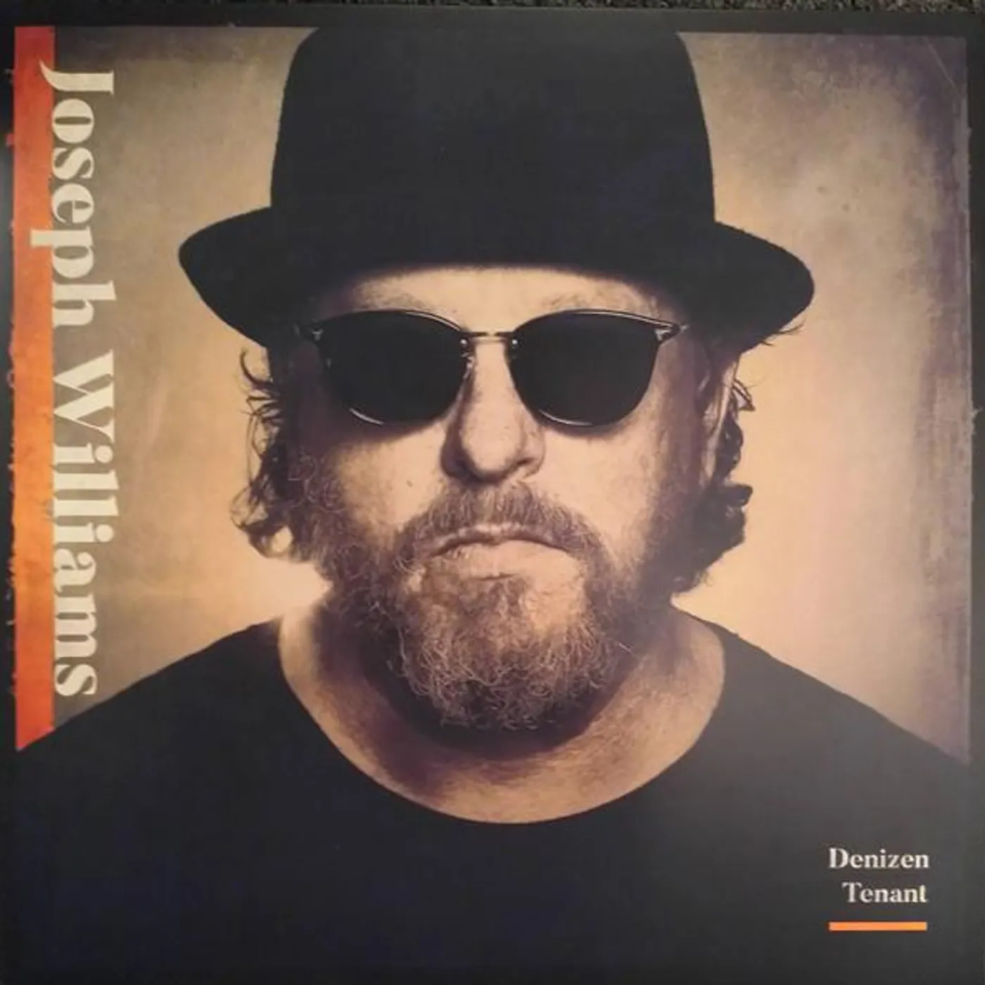 Joseph Williams LP - Denizen Tenant (Vinyl)