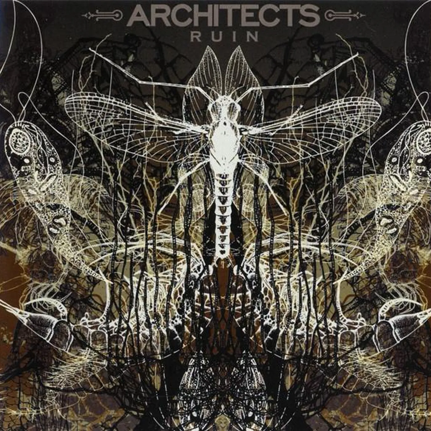 Architects RUIN CD
