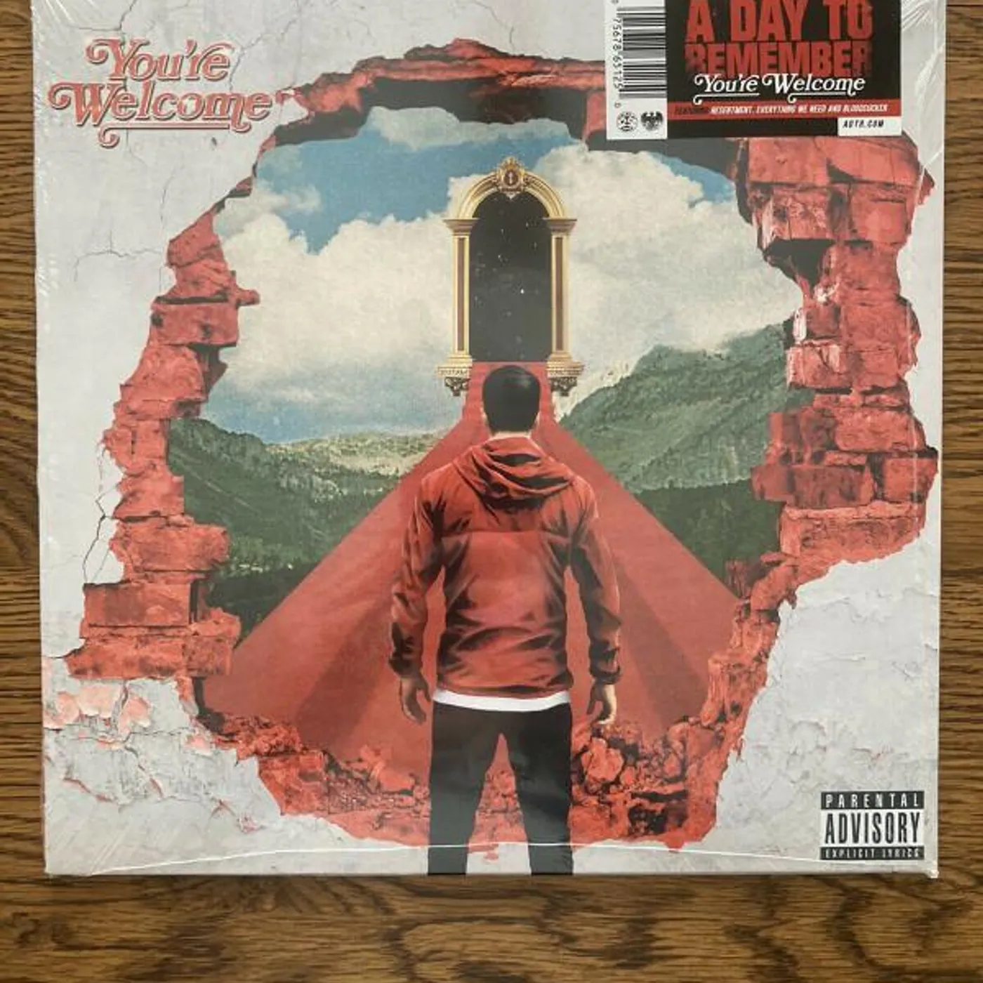 A Day To Remember You're Welcome Vinyl Record