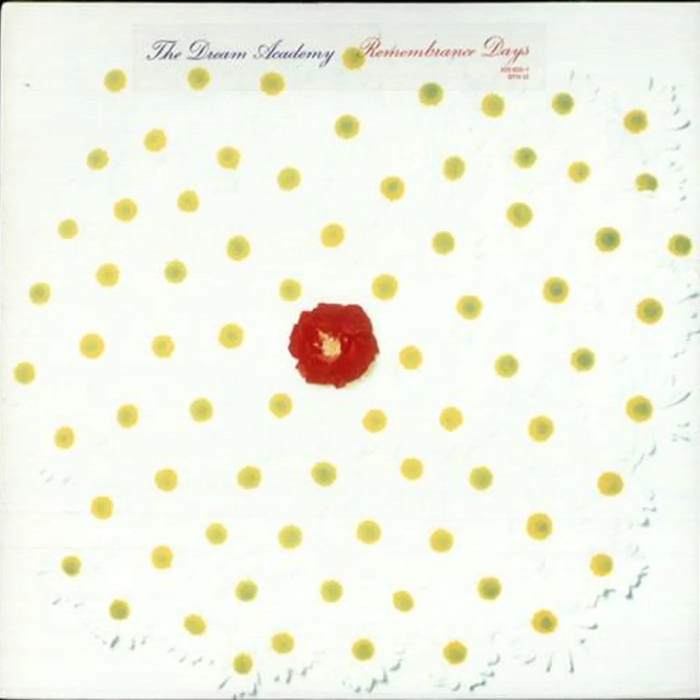 The Dream Academy Remembrance Days Vinyl Record