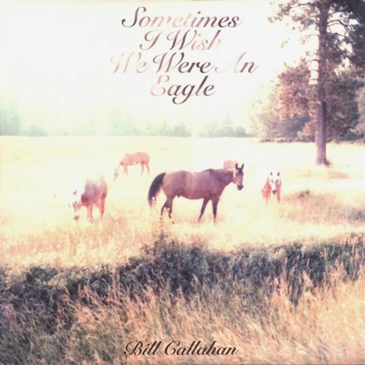 Bill Callahan Sometimes I Wish We Were An Eagle Vinyl Record