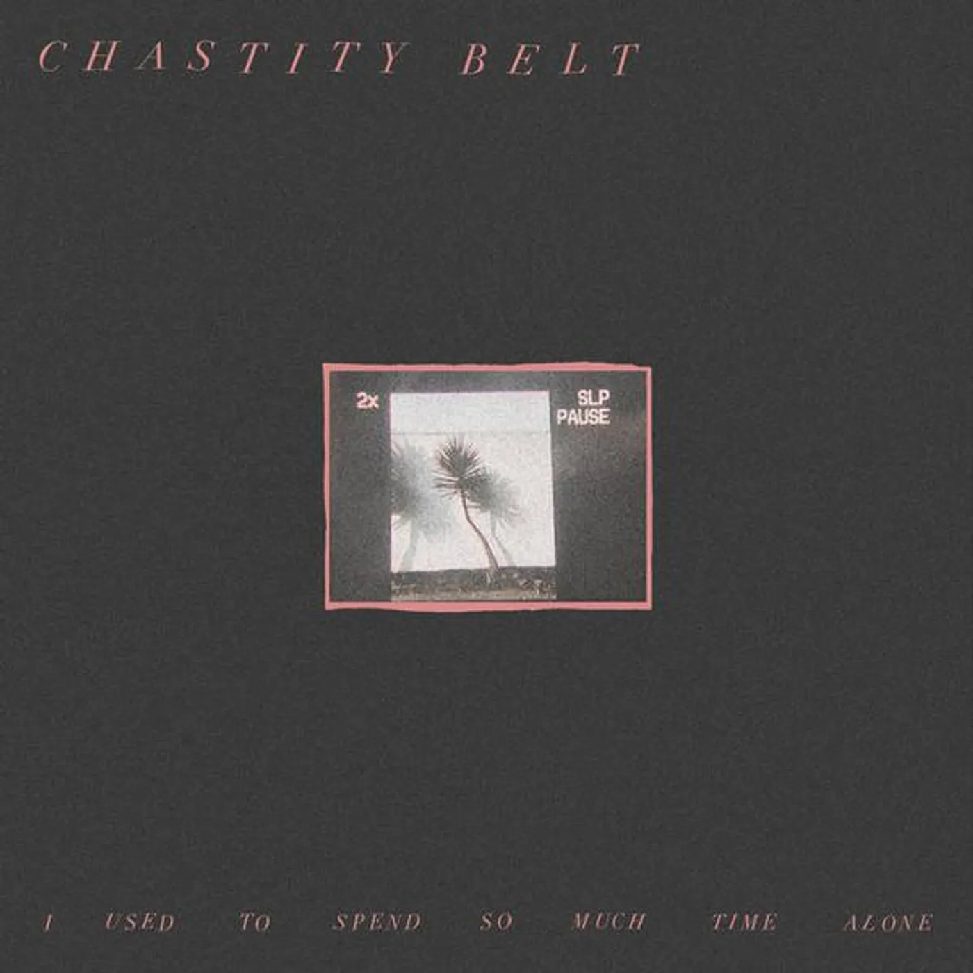 Chastity Belt I Used To Spend So Much Time Alone (Dl Card) Vinyl Record
