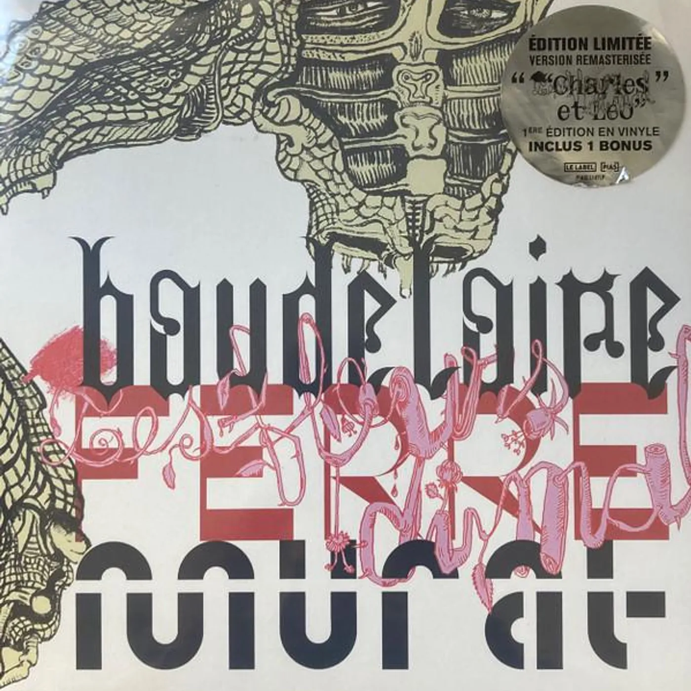 Jean-Louis Murat CHARLES ET LEO - LES FLEURS DU MAL Vinyl Record