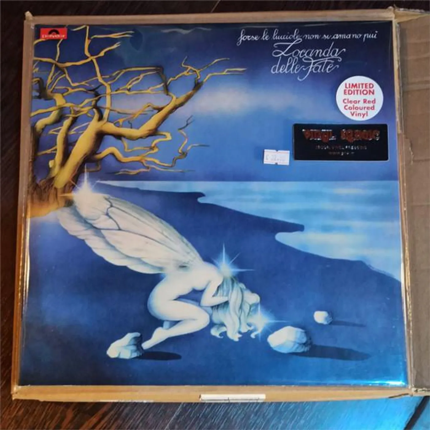 Locanda delle fate FORSE LE LUCCIOLE NON SI AMANO PI Vinyl Record