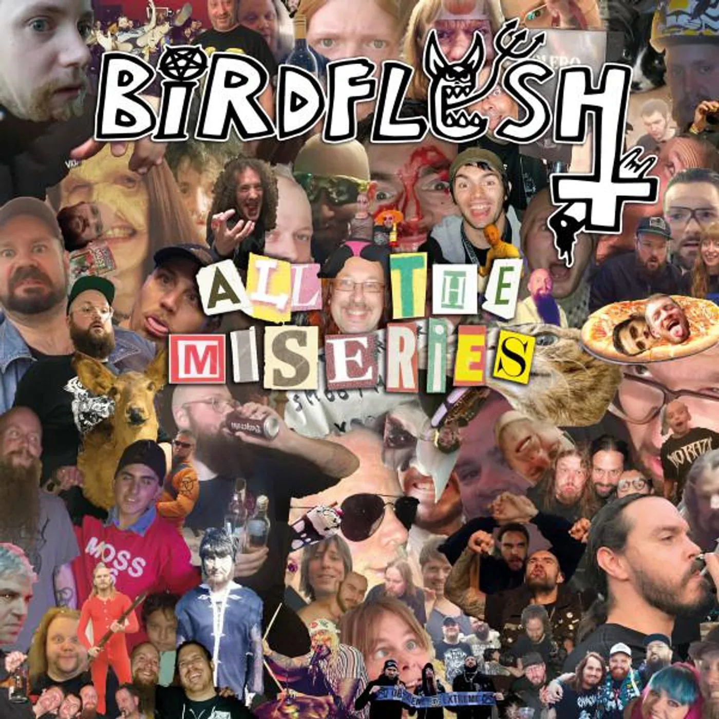 Birdflesh ALL THE MISERIES CD