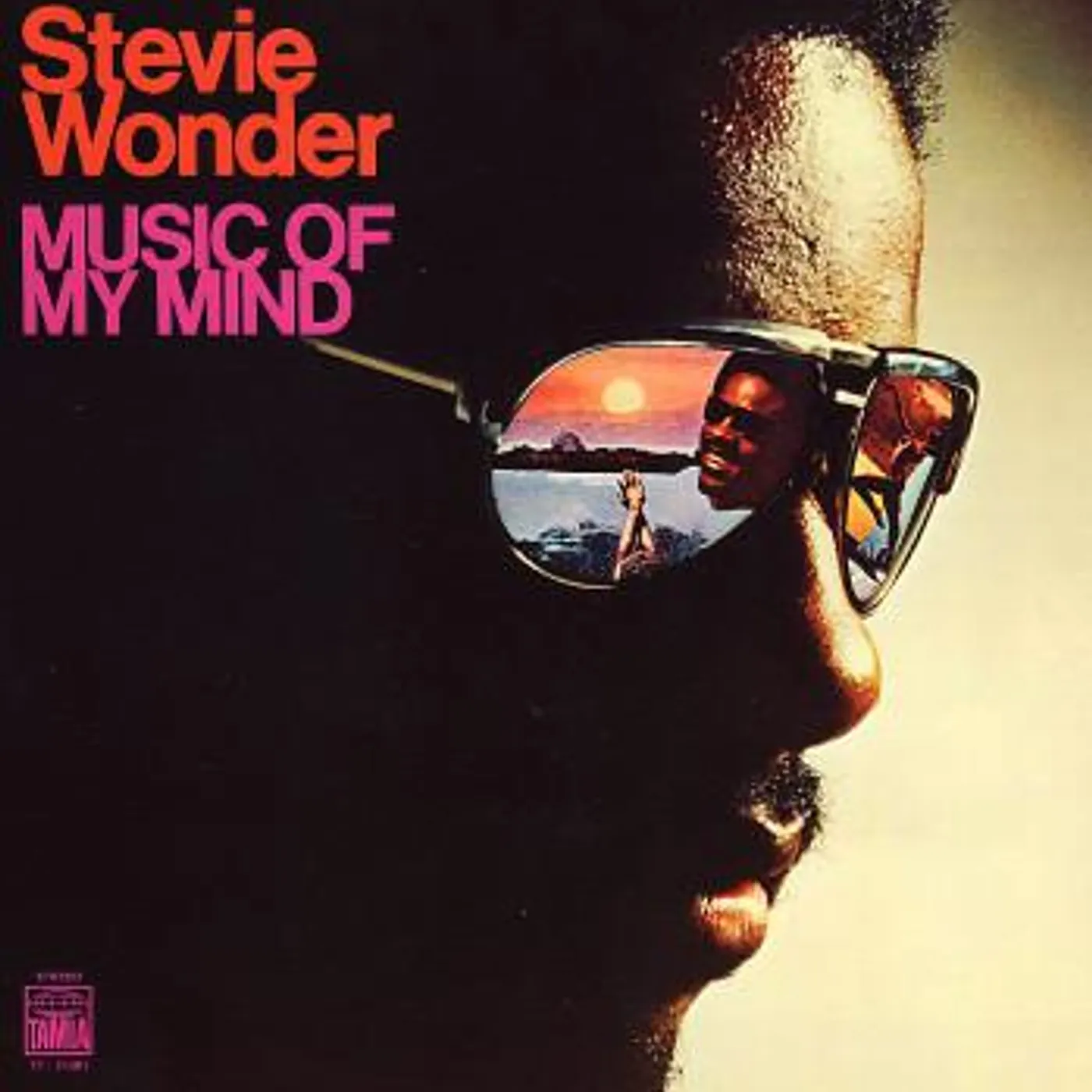 Stevie Wonder MUSIC OF MY MIND Vinyl Record
