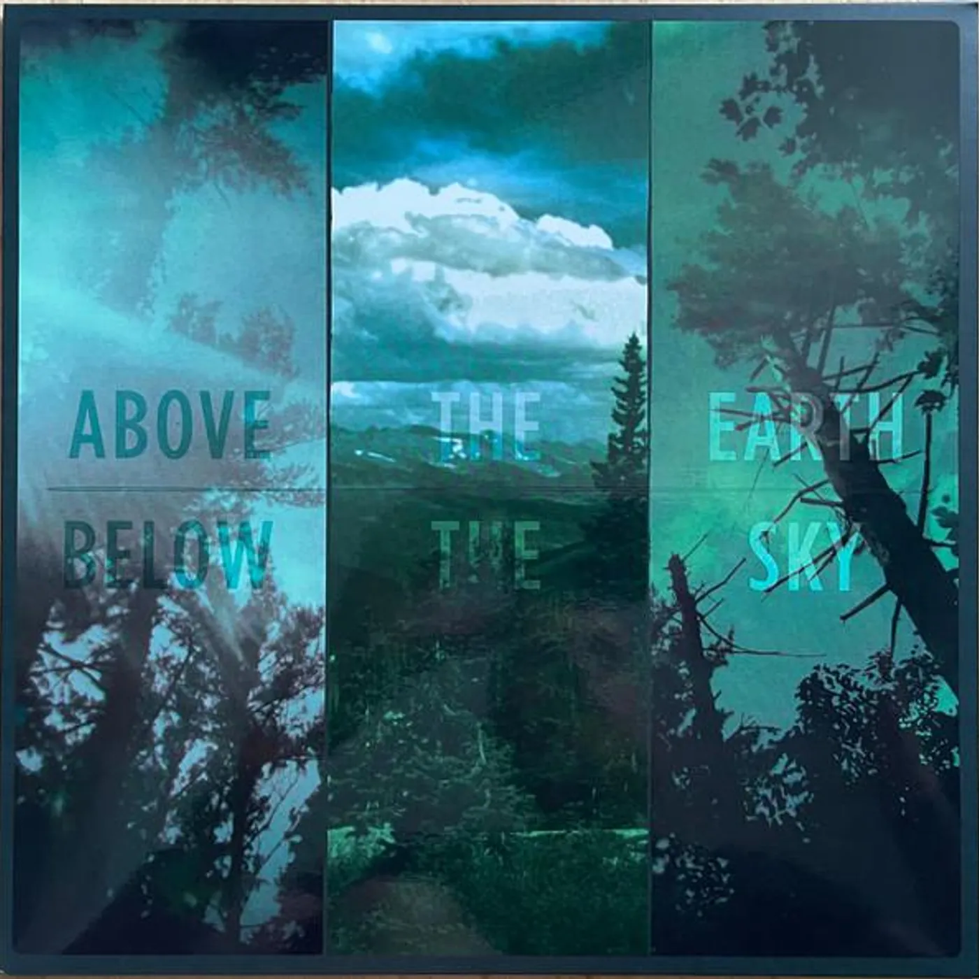 If These Trees Could Talk ABOVE THE EARTH BELOW THE SKY Vinyl Record