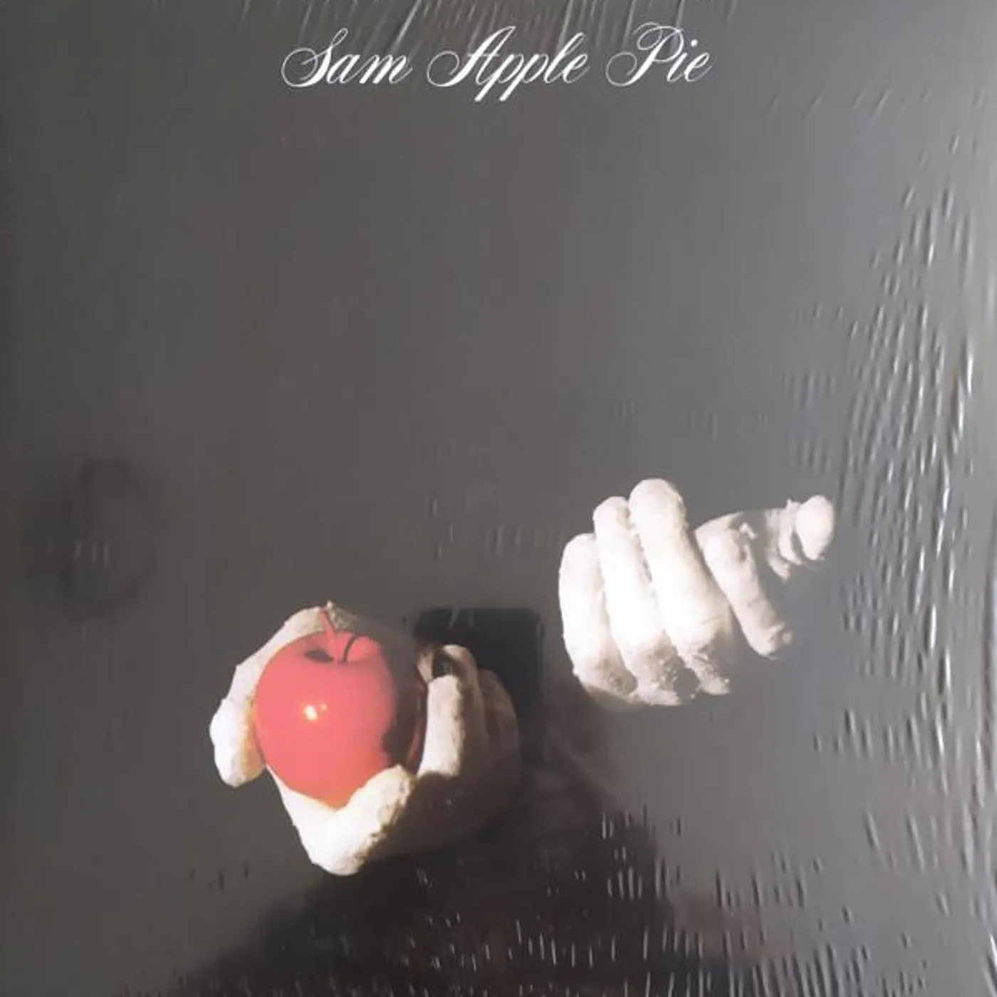 SAM APPLE PIE Vinyl Record