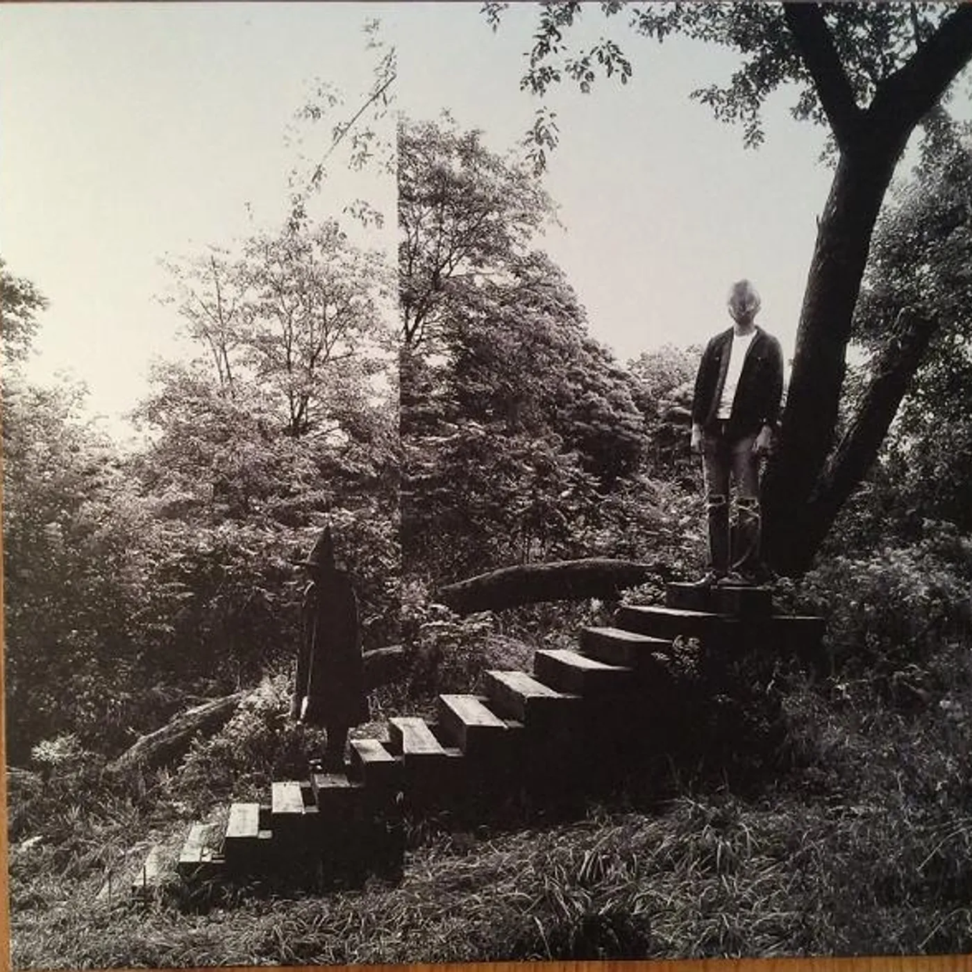 Timber Timbre Vinyl Record
