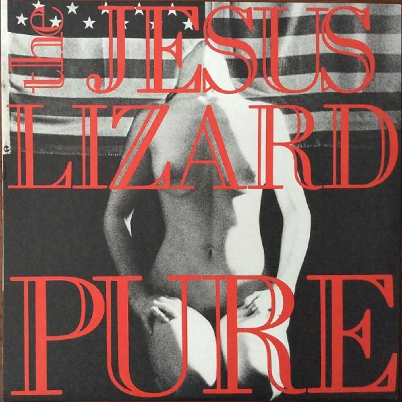 The Jesus Lizard Pure Vinyl Record