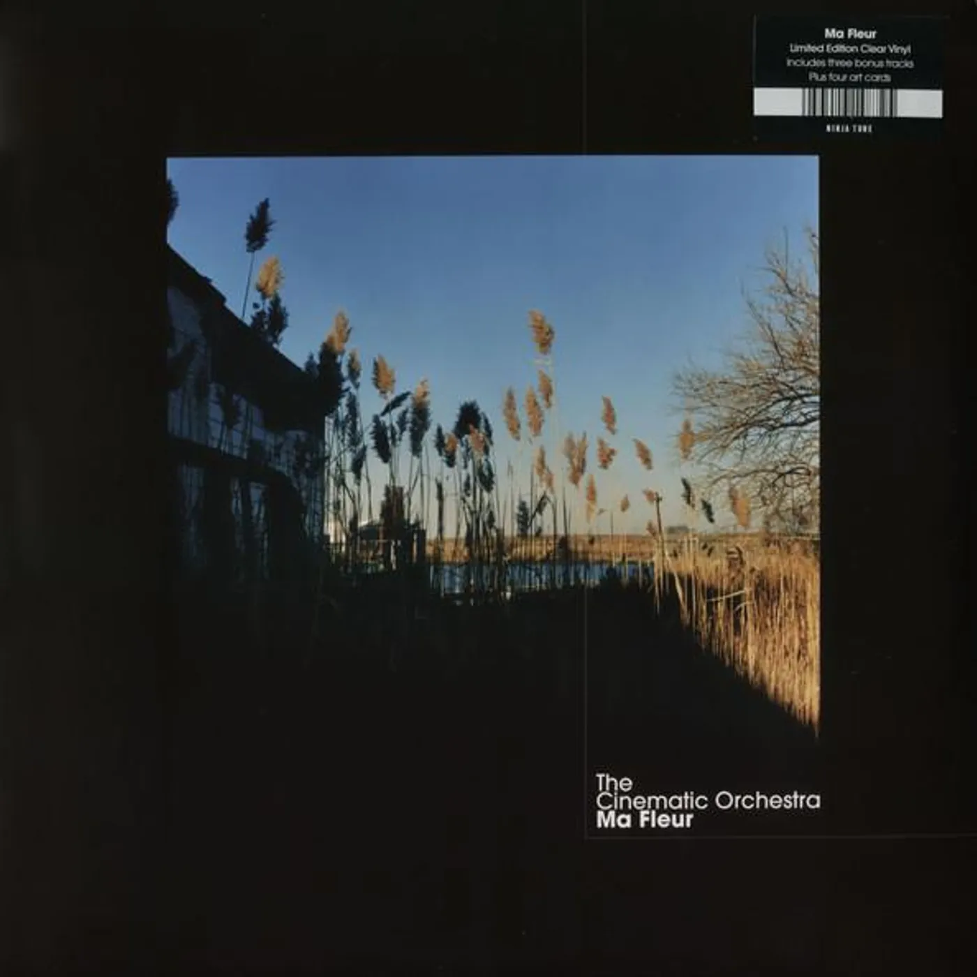 The Cinematic Orchestra MA FLEUR Vinyl Record