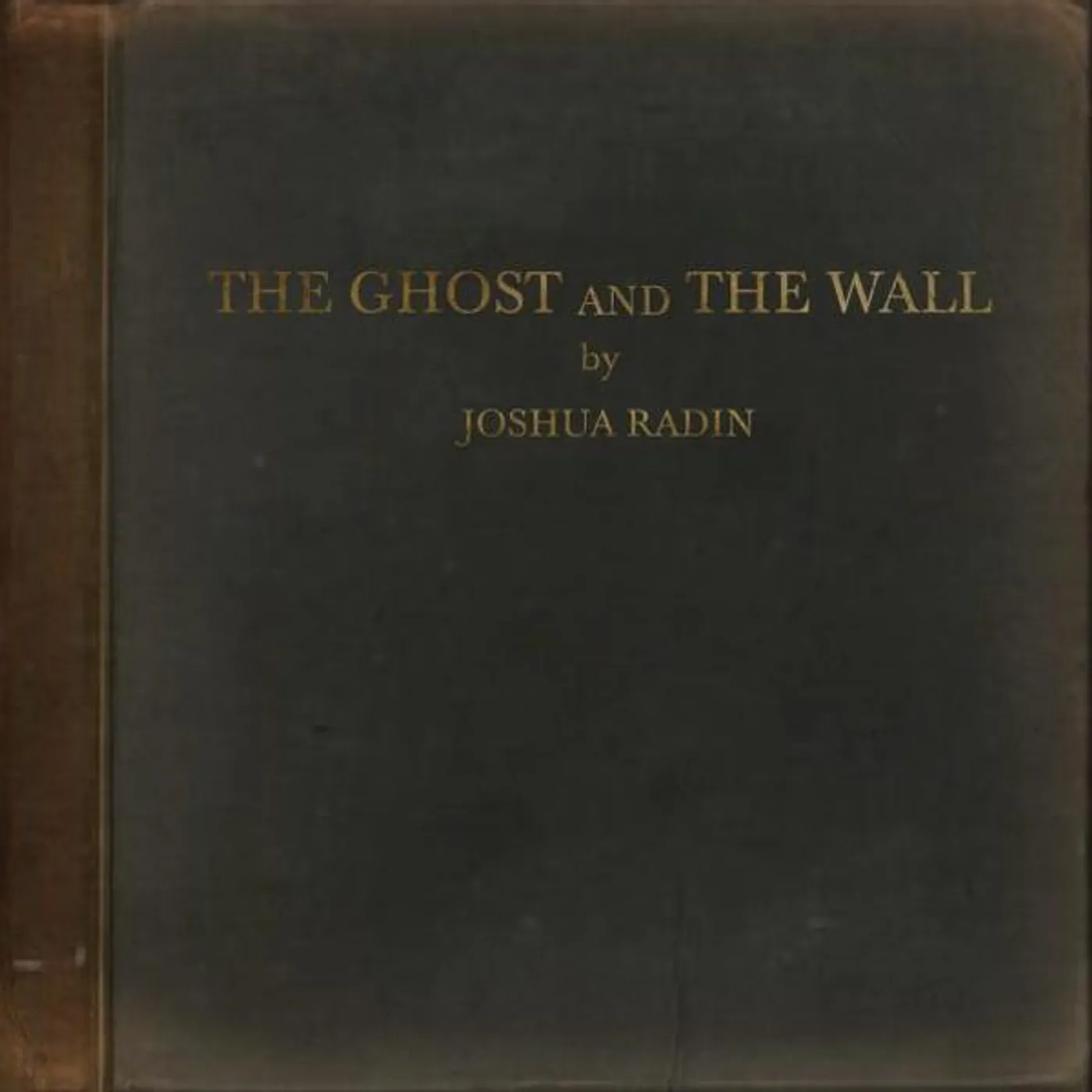 Joshua Radin GHOST & THE WALL Vinyl Record
