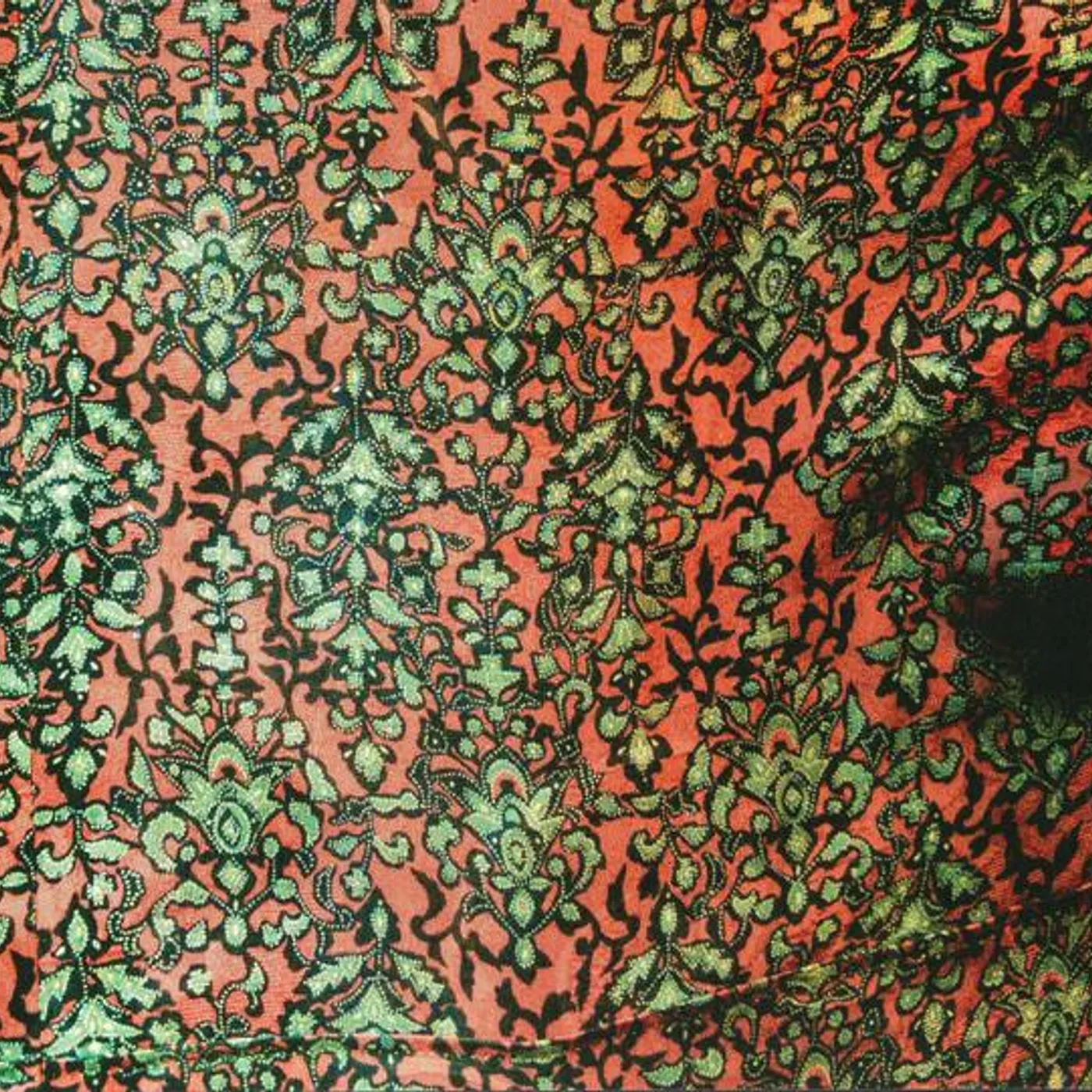 Jaimie Branch FLY OR DIE LIVE CD