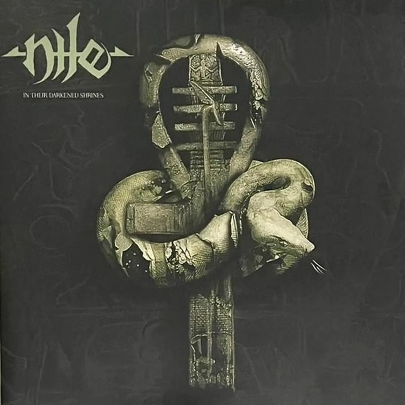 Nile IN THEIR DARKENED SHRINES Vinyl Record