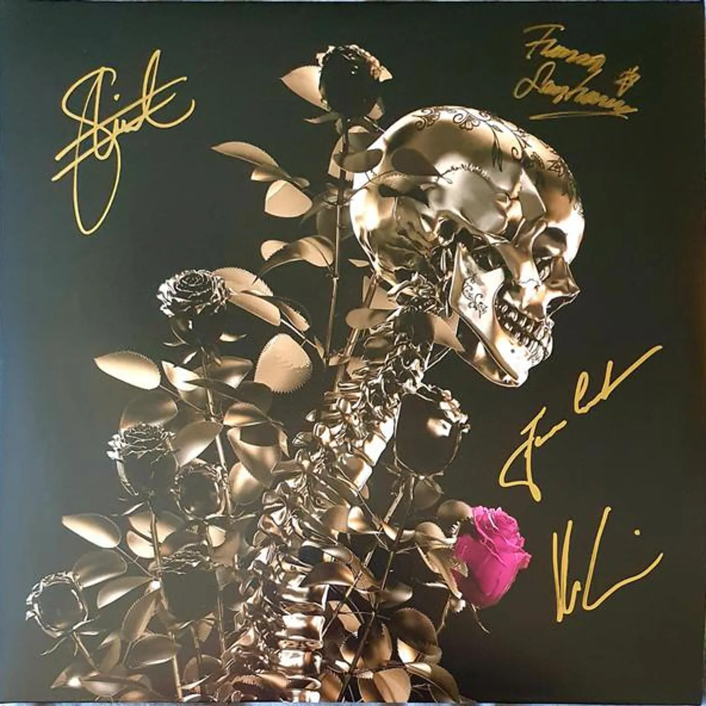 Black Paisley Rambler Vinyl Record