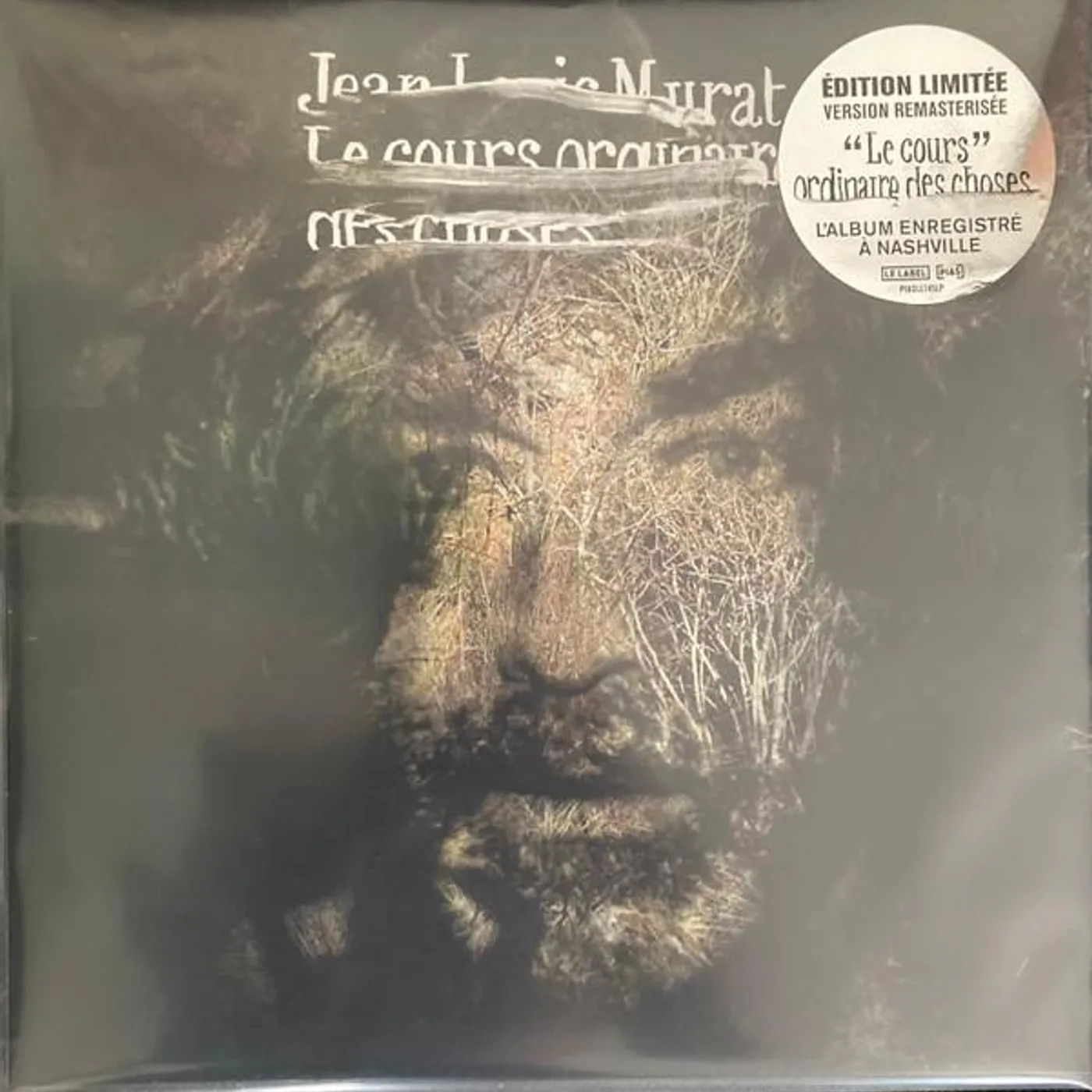 Jean-Louis Murat LE COURS ORDINAIRE DES CHOSES Vinyl Record