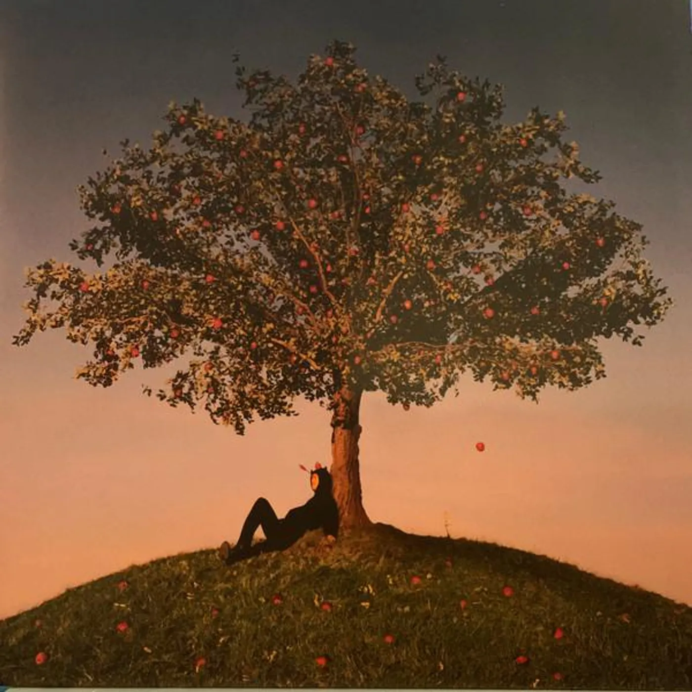 slowthai TYRON Vinyl Record