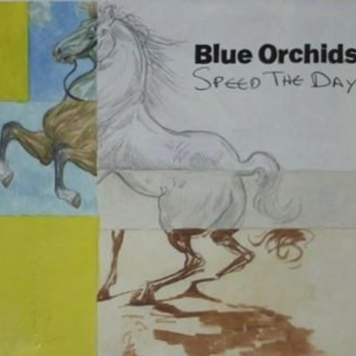 Blue Orchids SPEED THE DAY CD